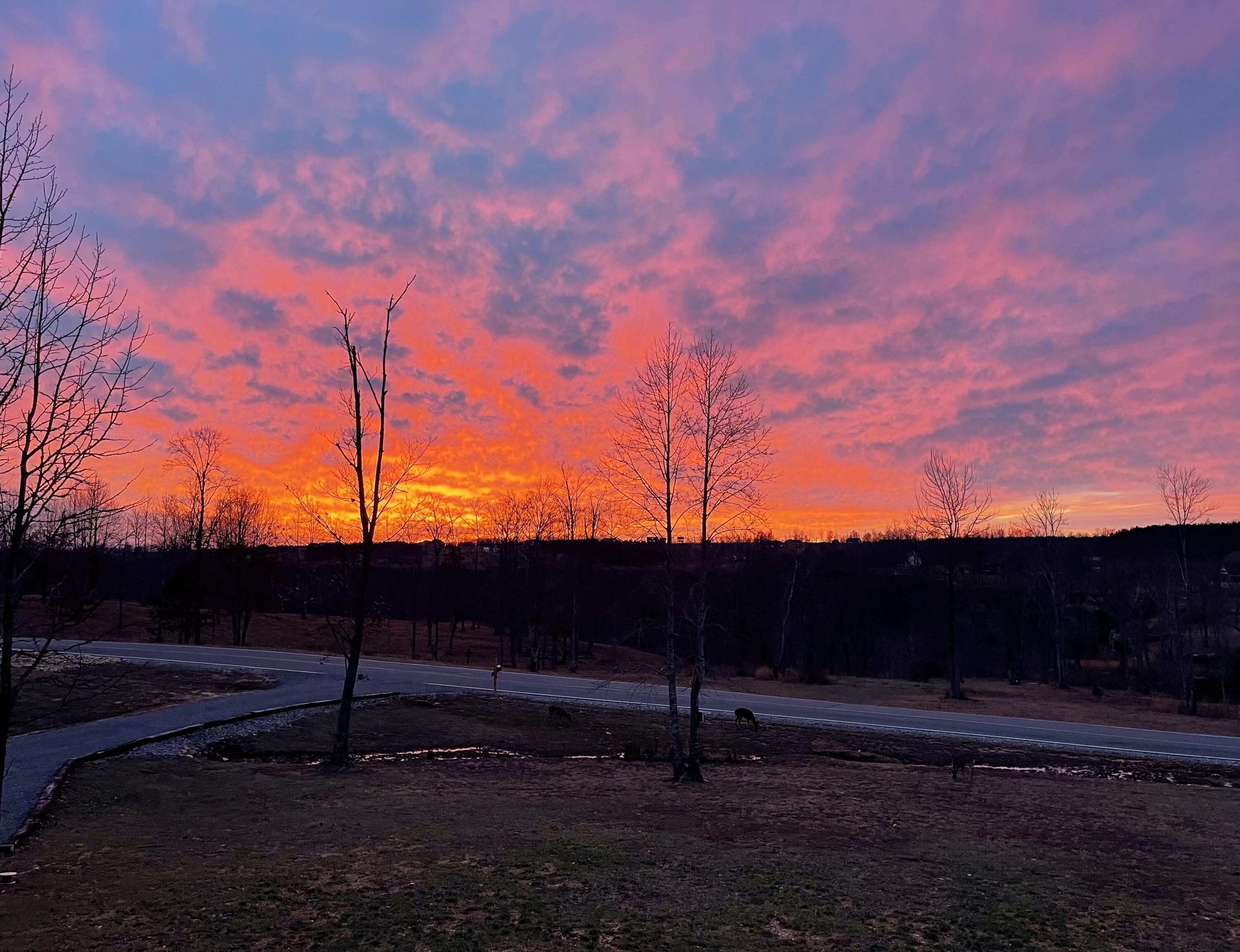 1115 River Bluffs Drive