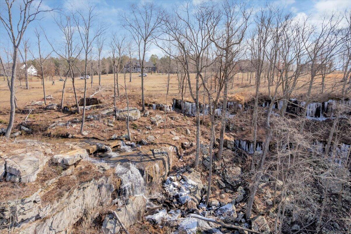 1115 River Bluffs Drive