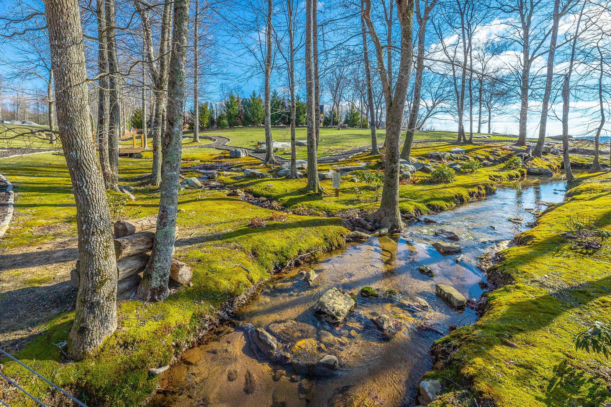 1115 River Bluffs Drive