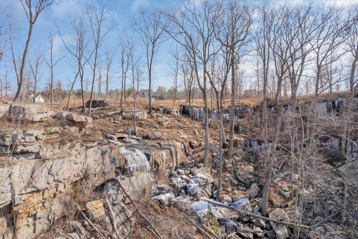 1115 River Bluffs Drive