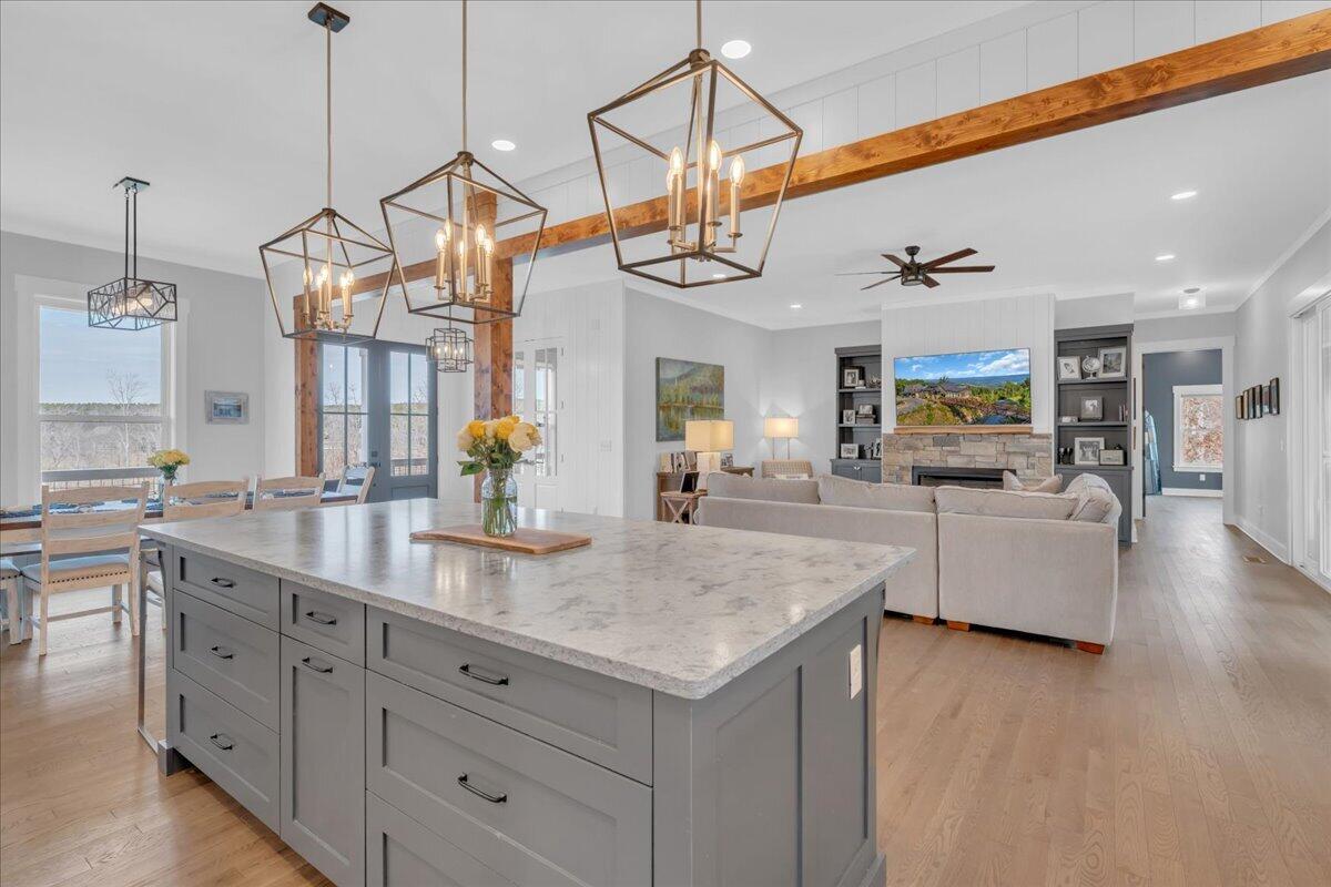 1115 River Bluffs Drive