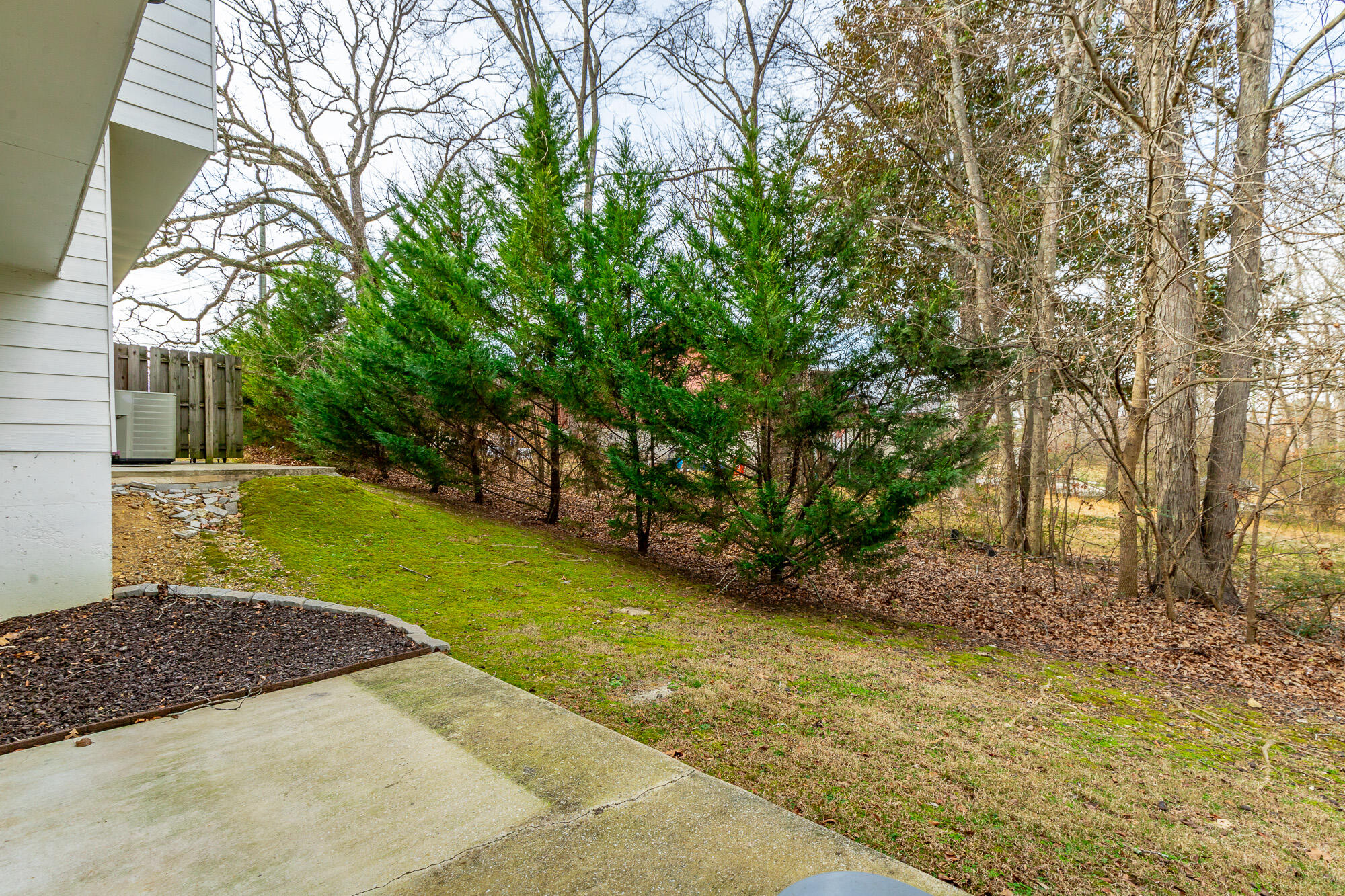 1109 Maple Tree Lane