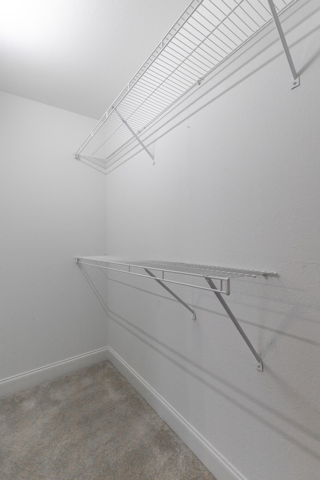 1109 Maple Tree Lane