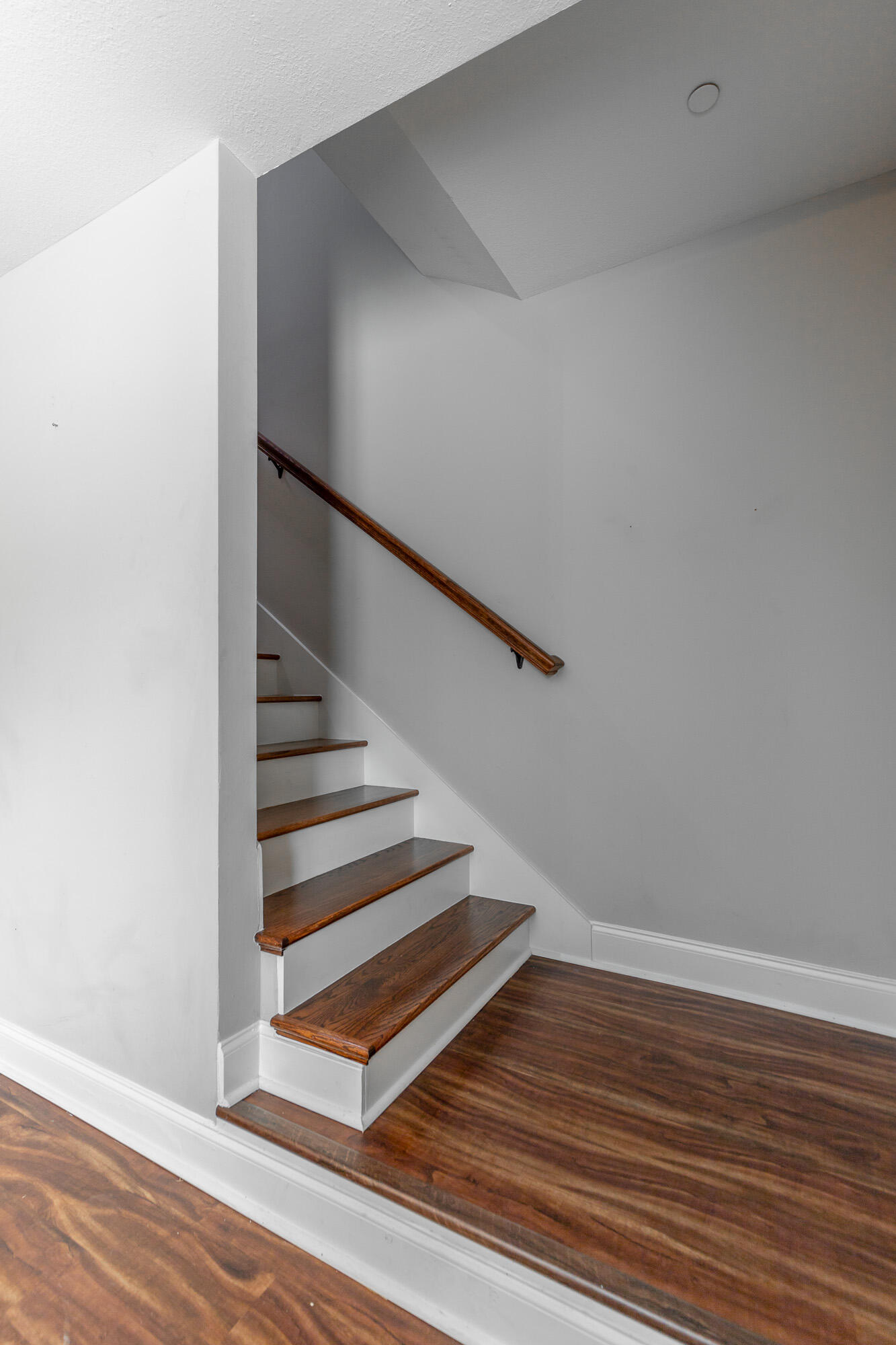 1109 Maple Tree Lane