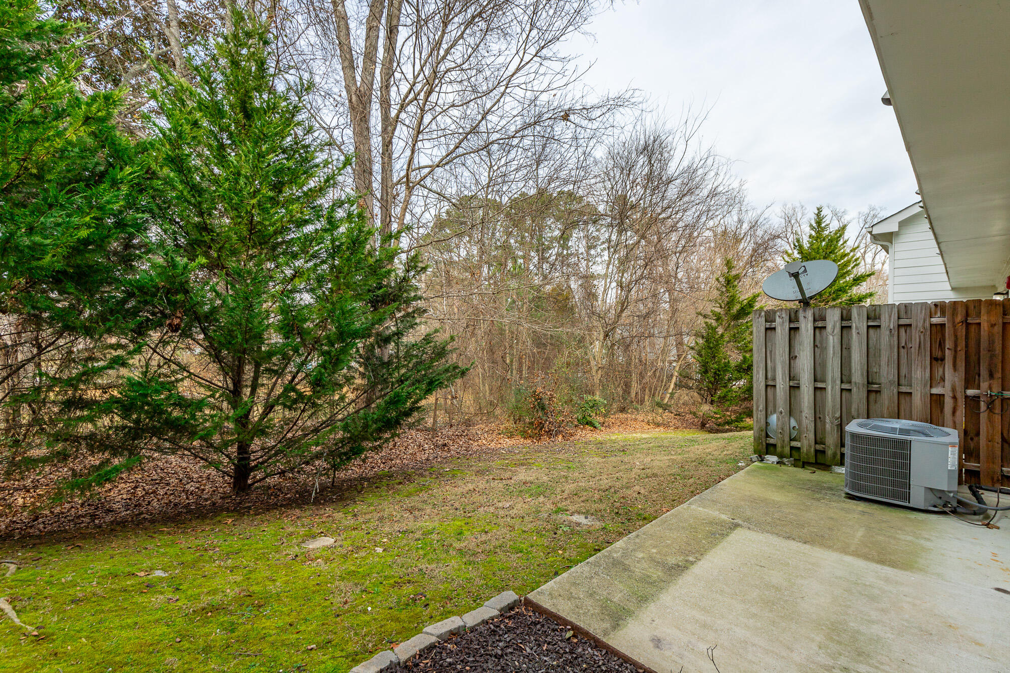 1109 Maple Tree Lane