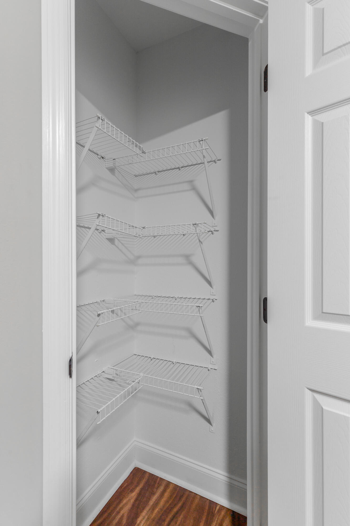 1109 Maple Tree Lane