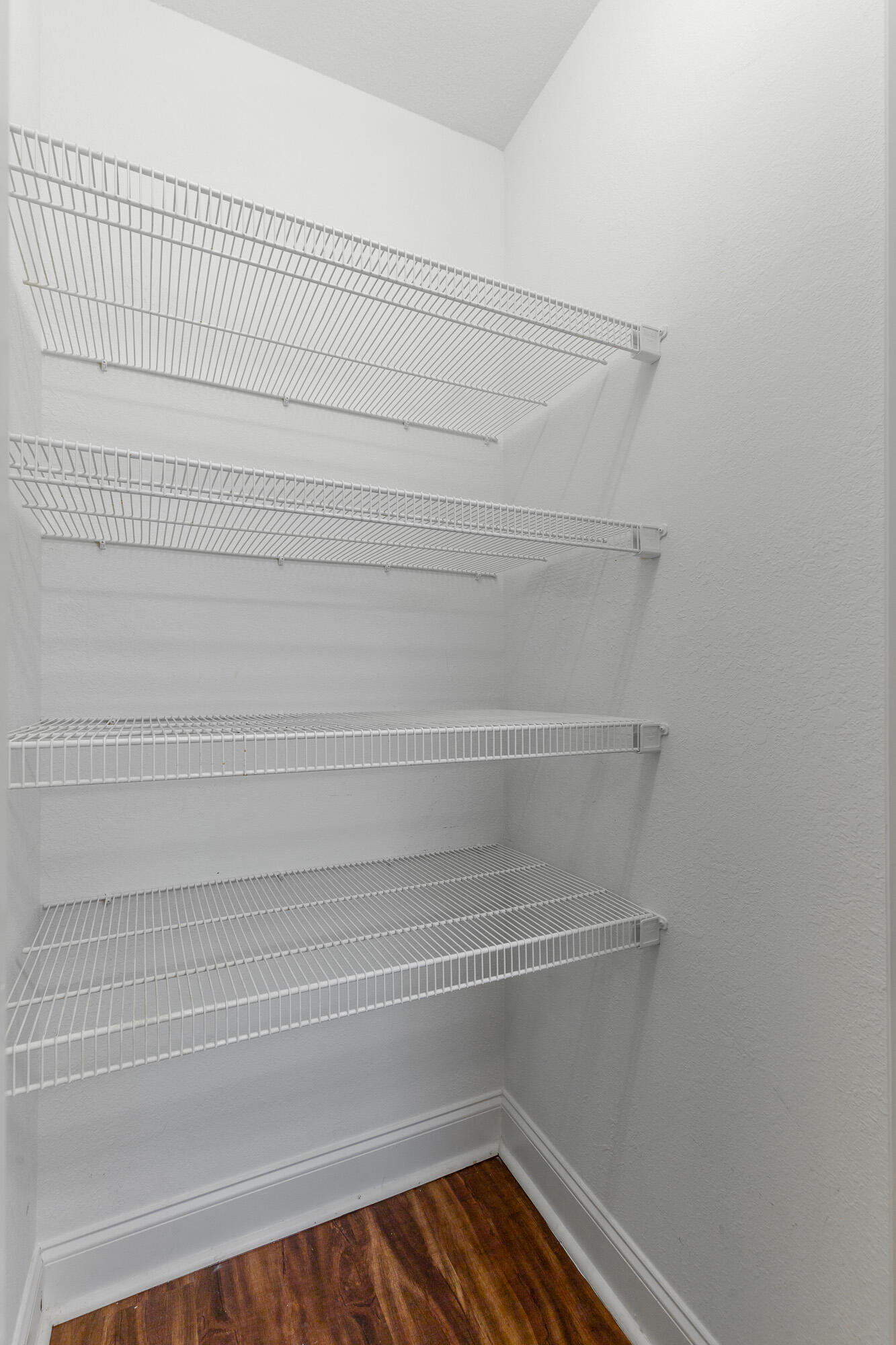 1113 Maple Tree Lane