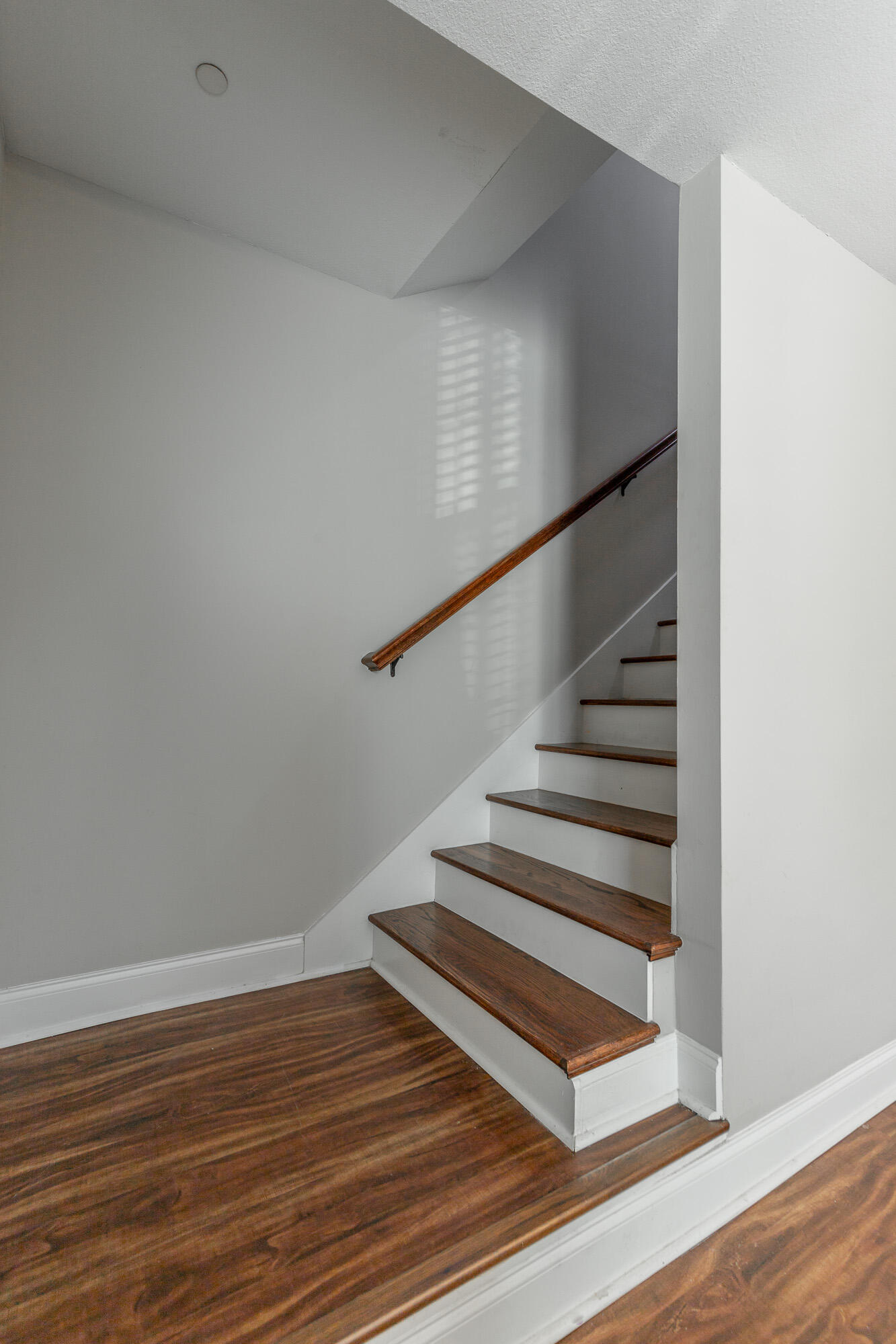 1113 Maple Tree Lane