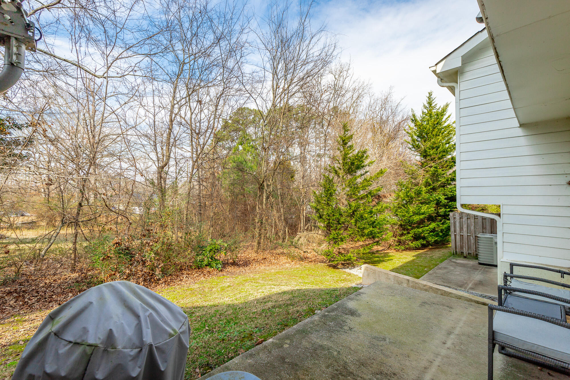 1113 Maple Tree Lane