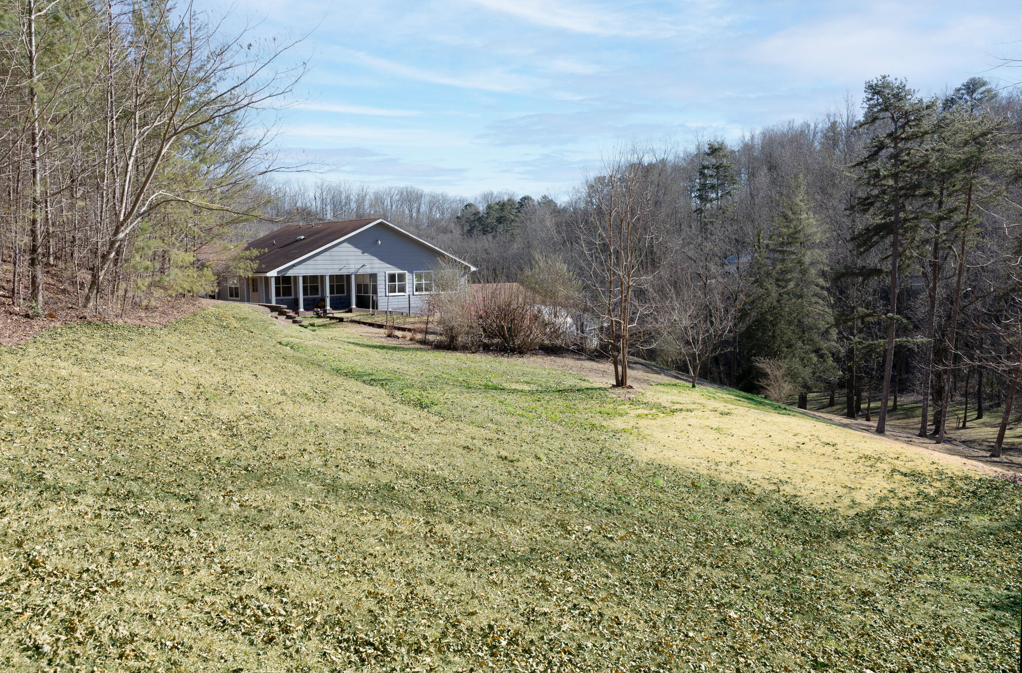 317 Shady Crest Drive