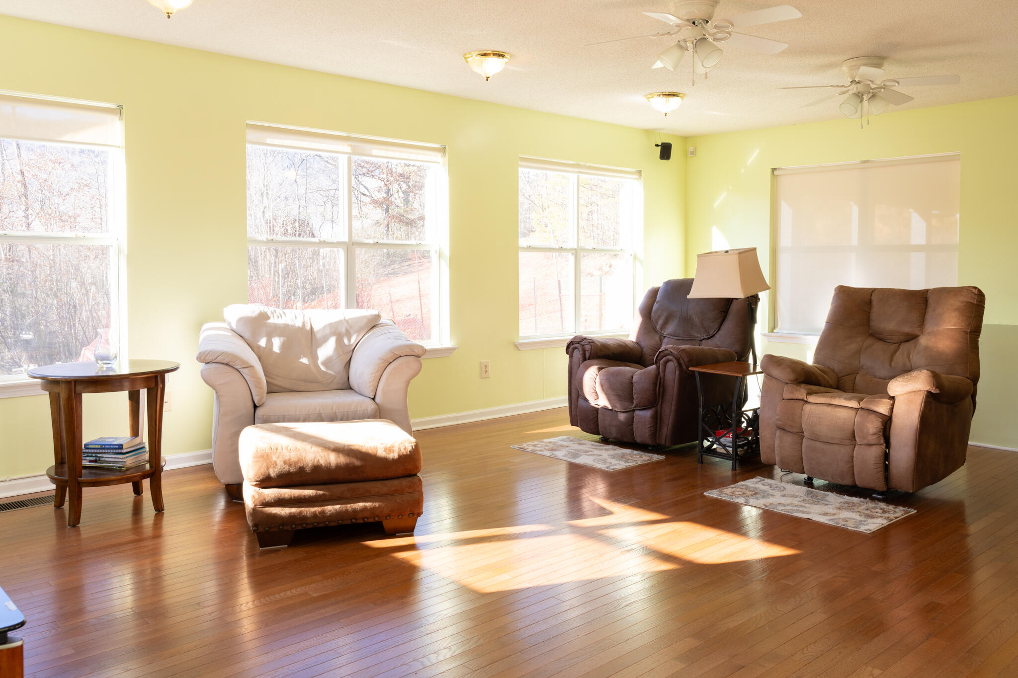 317 Shady Crest Drive