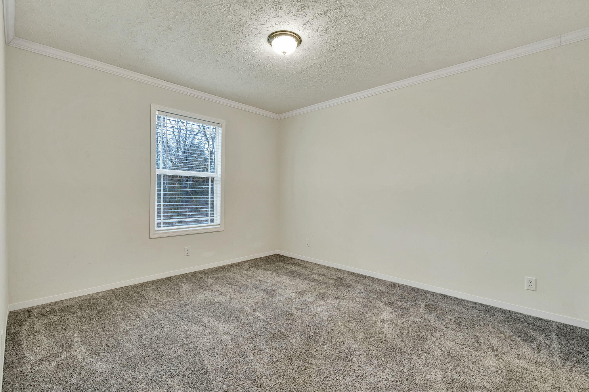 1215 Sweetwater Vonore Road