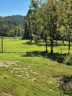 61 Acres Chestnut Valley Road