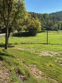 61 Acres Chestnut Valley Road