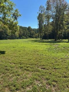 61 Acres Chestnut Valley Road