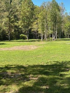 61 Acres Chestnut Valley Road