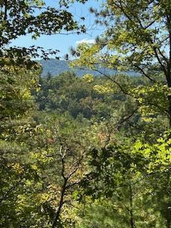 61 Acres Chestnut Valley Road