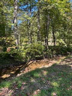 61 Acres Chestnut Valley Road