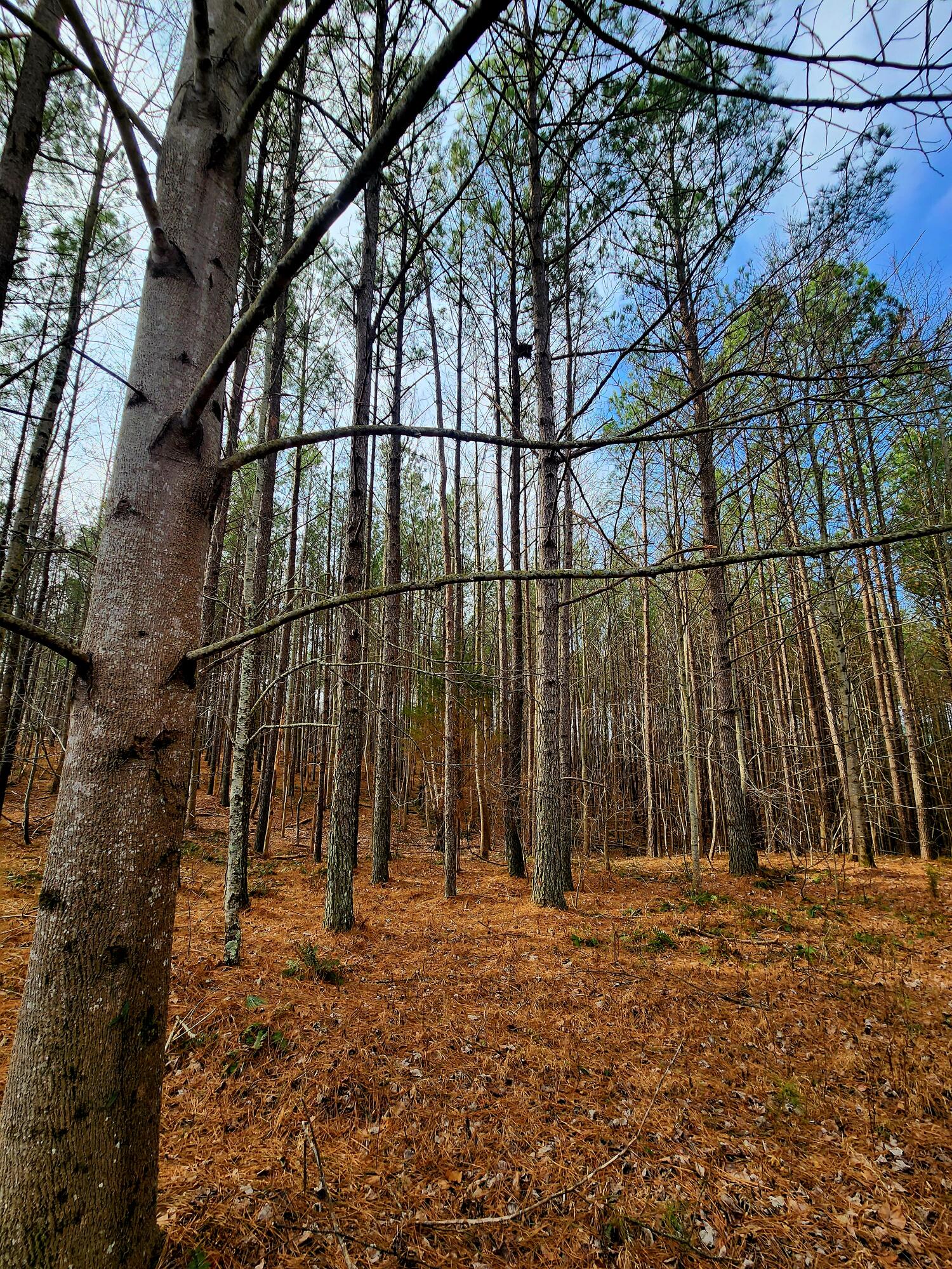 1560 Thunder Ridge Drive, 48