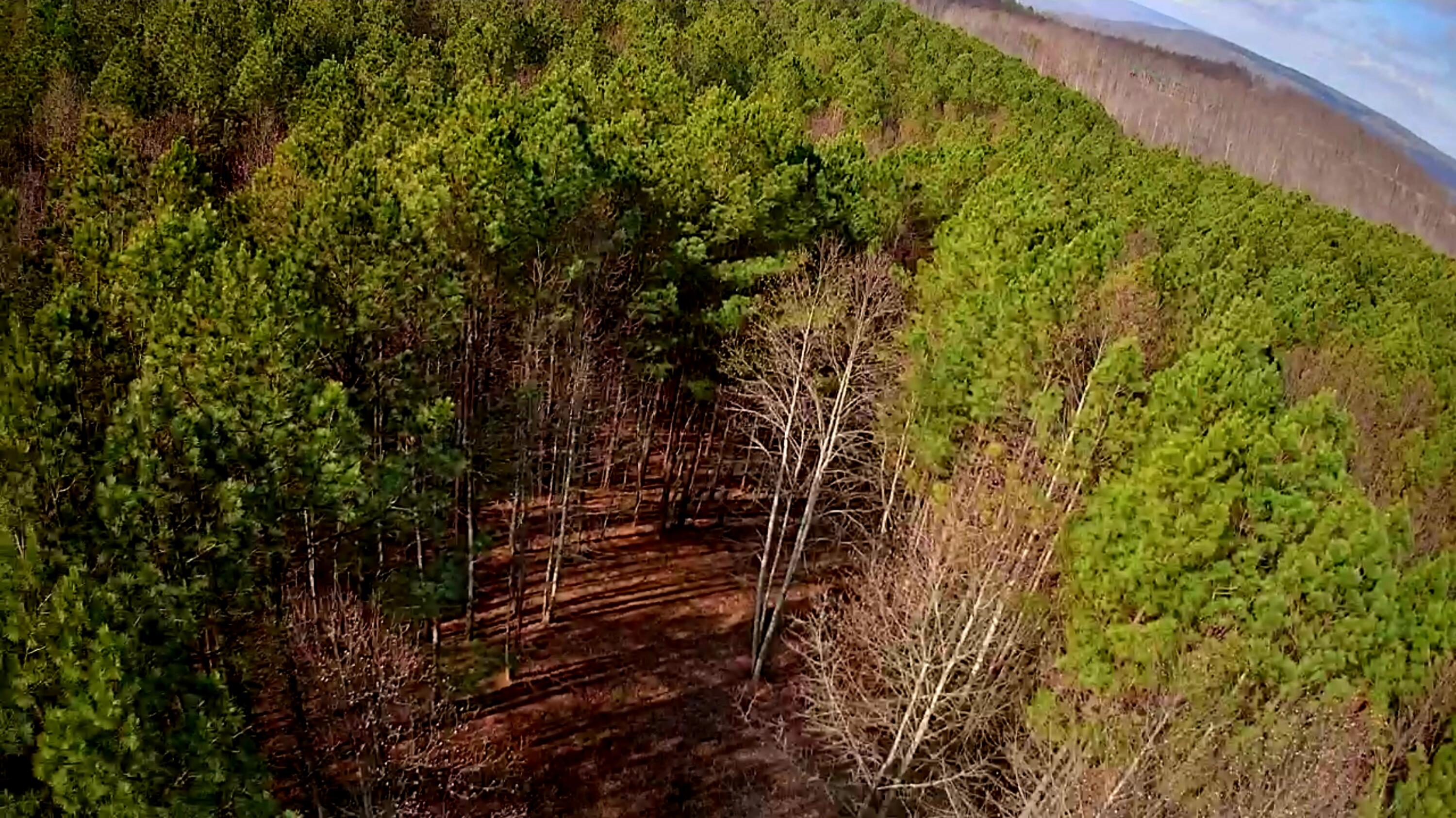 1560 Thunder Ridge Drive, 48