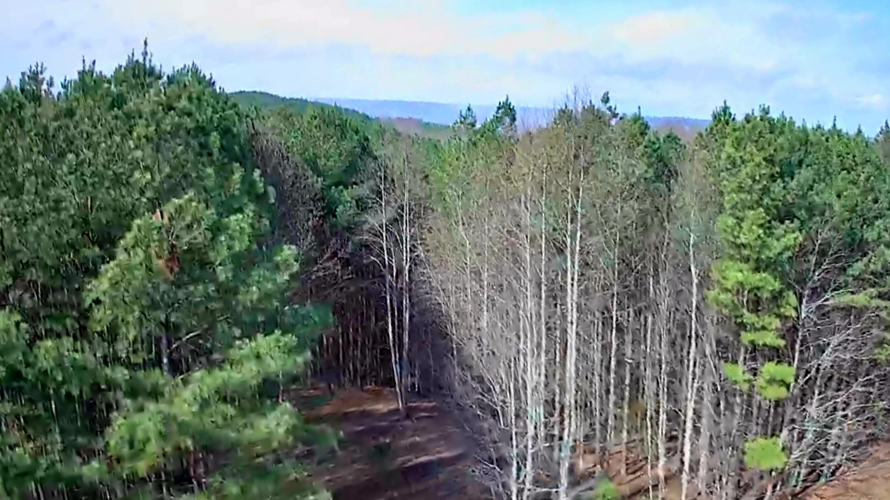 1560 Thunder Ridge Drive, 48