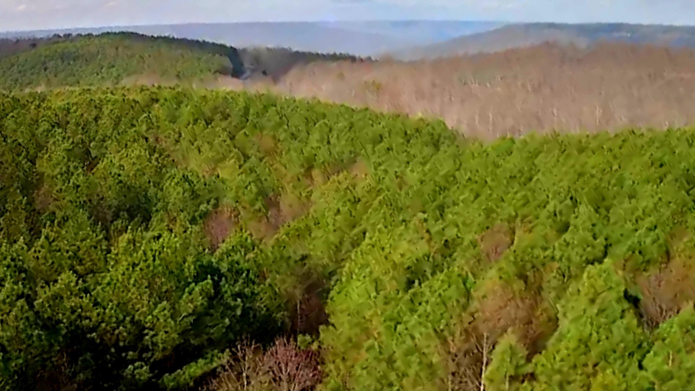 1560 Thunder Ridge Drive, 48