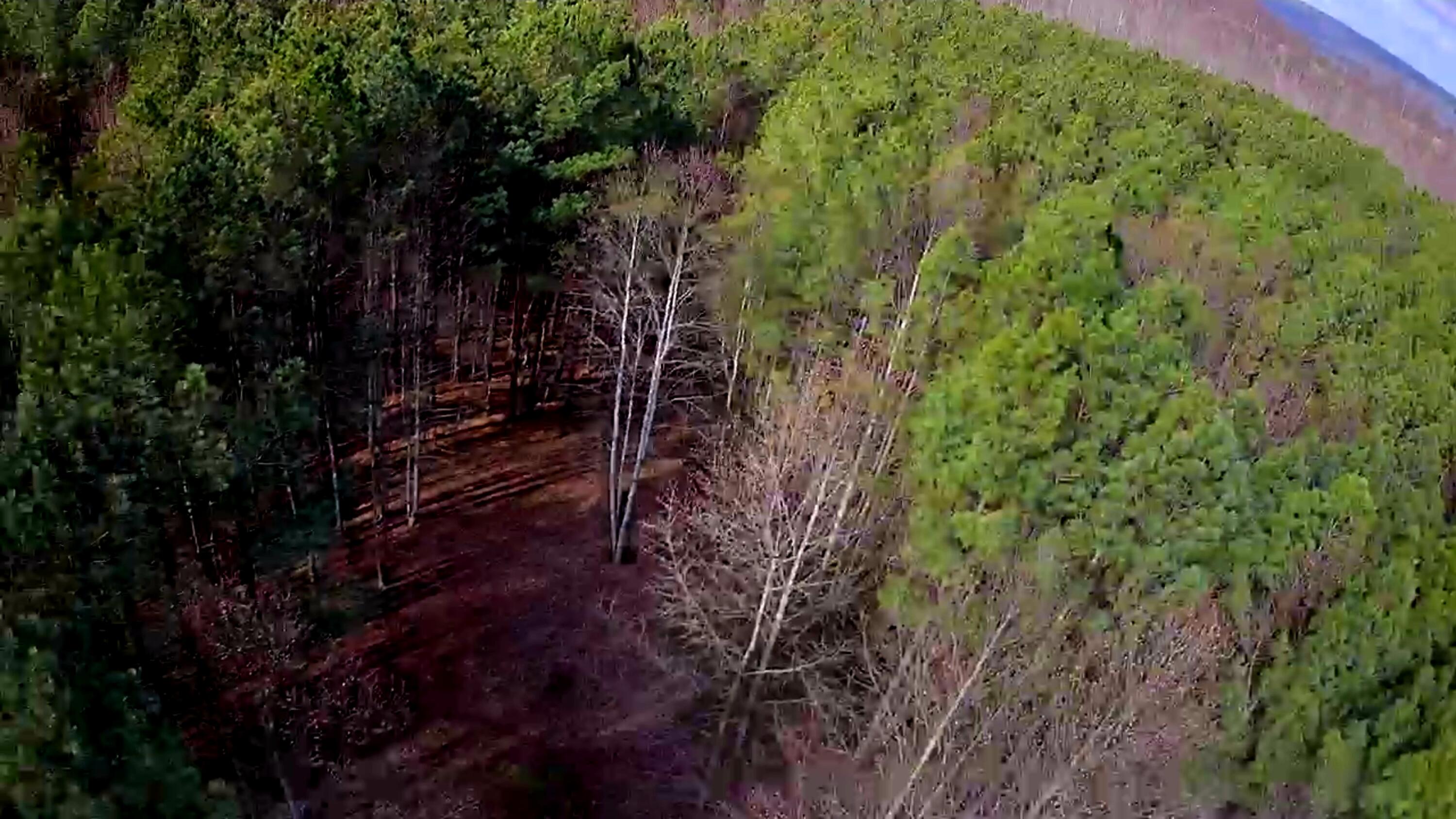 1560 Thunder Ridge Drive, 48