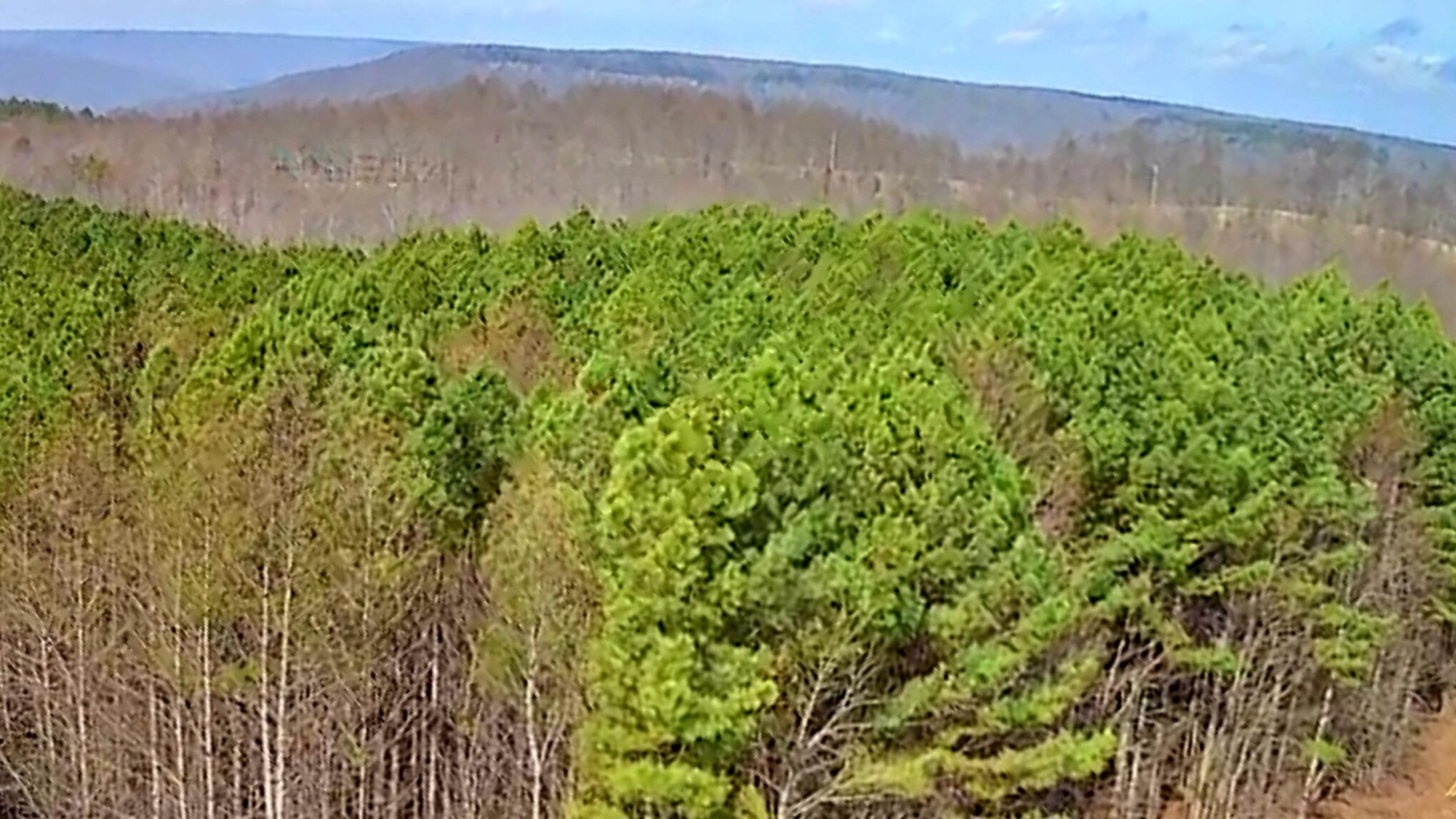 1560 Thunder Ridge Drive, 48