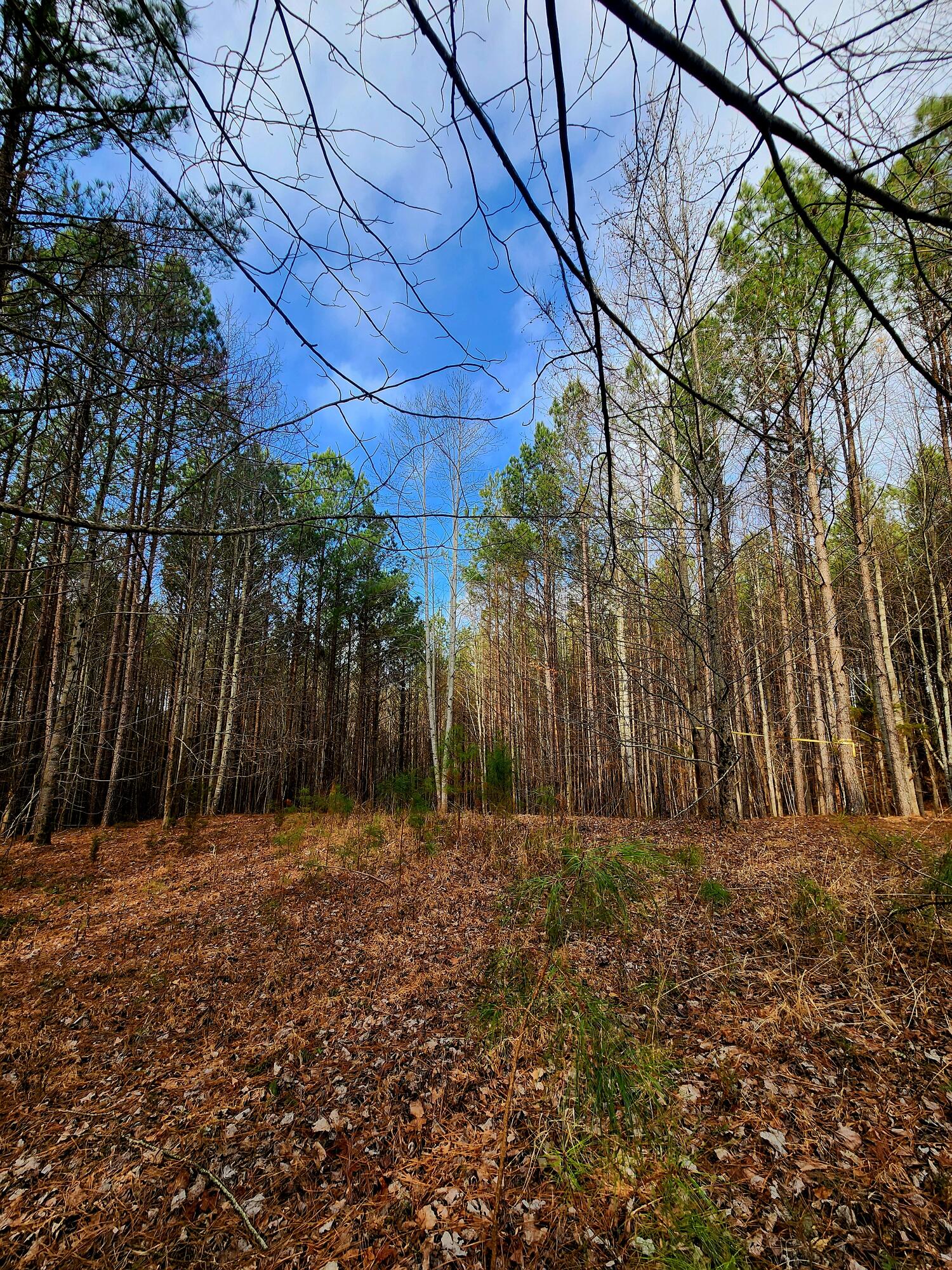 1560 Thunder Ridge Drive, 48