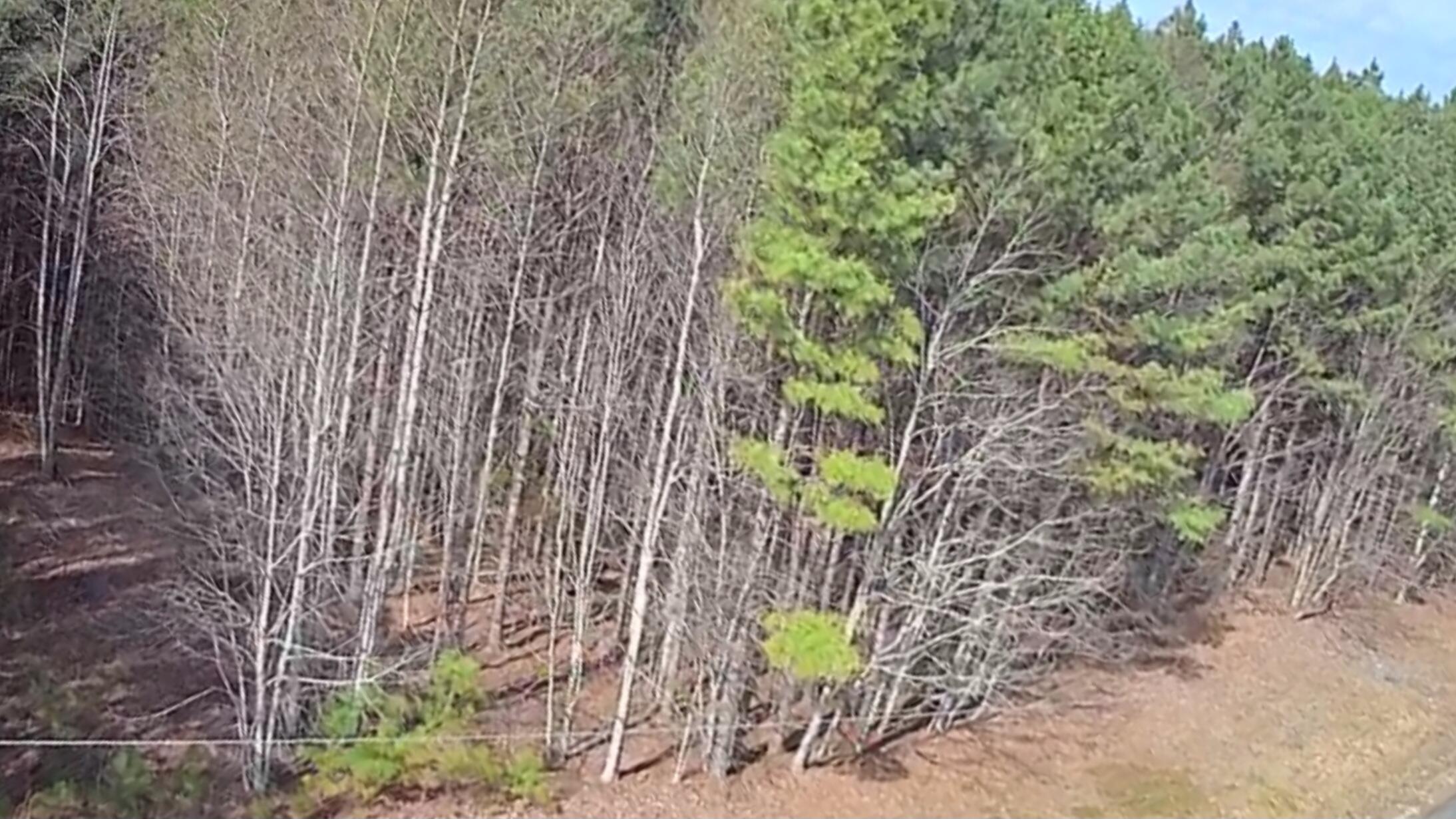 1560 Thunder Ridge Drive, 48