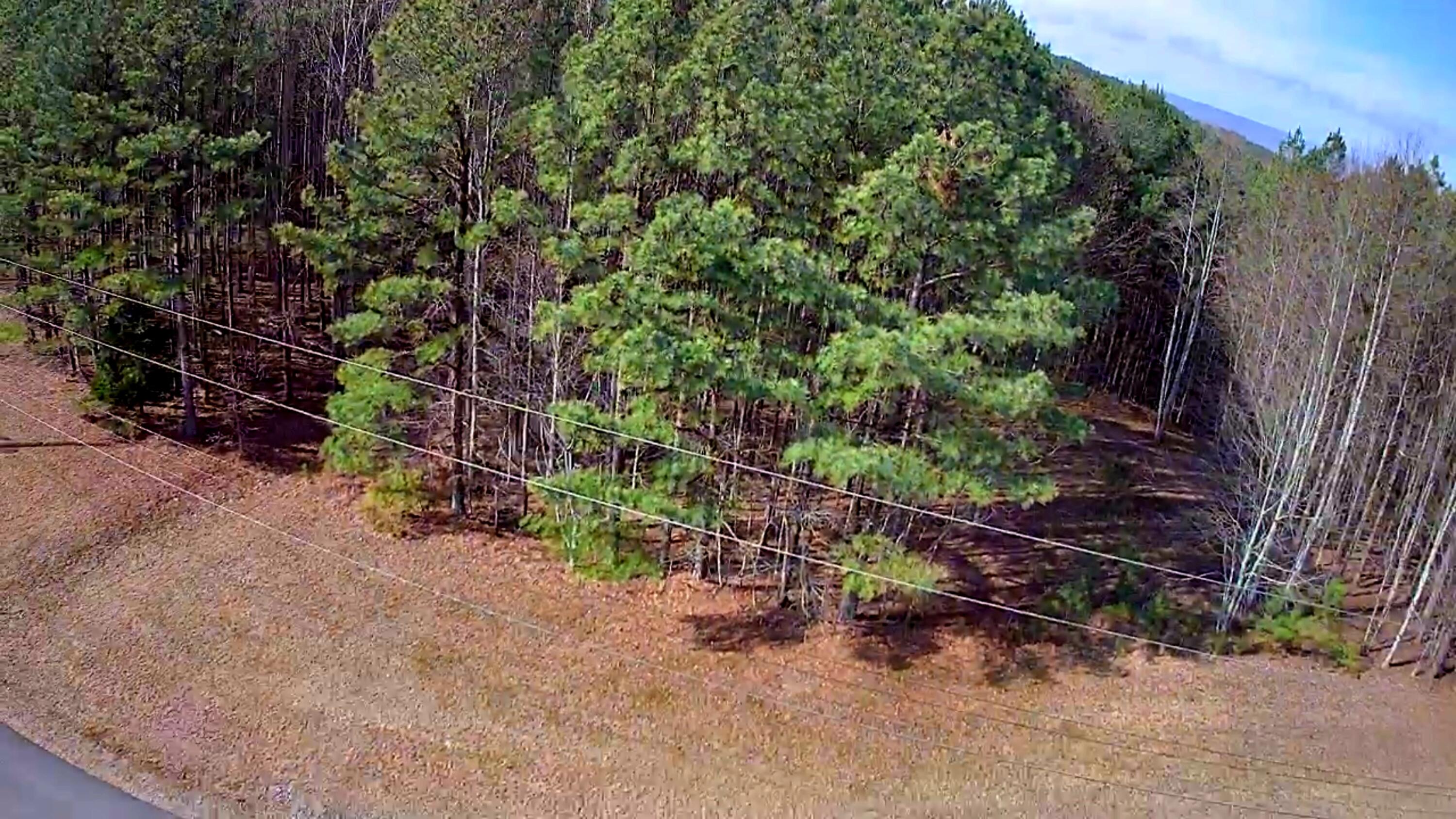 1560 Thunder Ridge Drive, 48