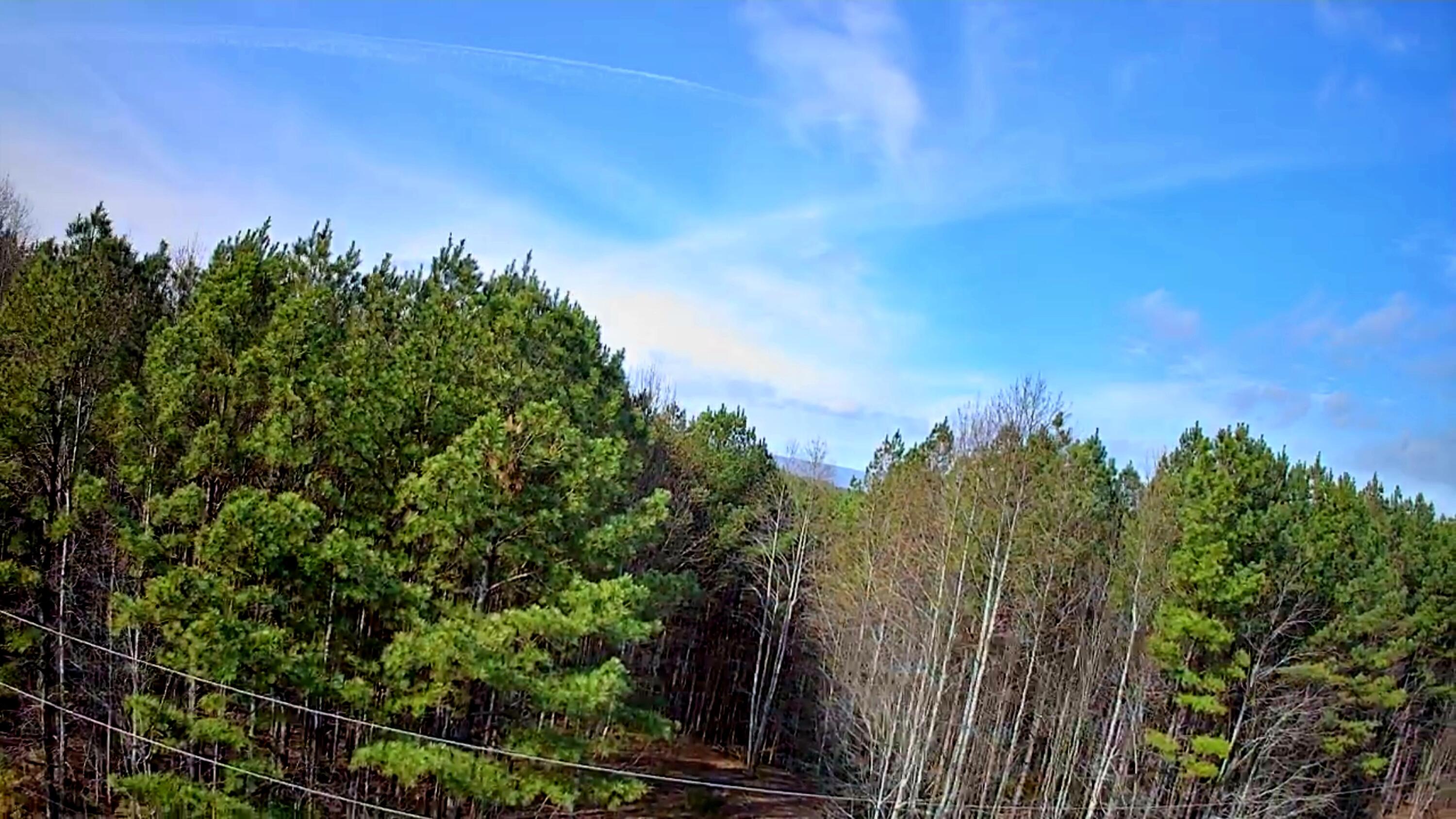 1560 Thunder Ridge Drive, 48