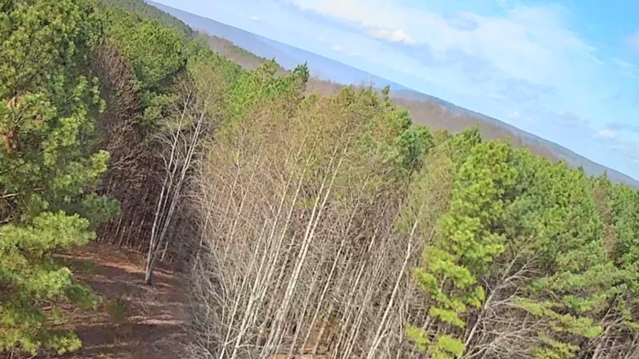 1560 Thunder Ridge Drive, 48