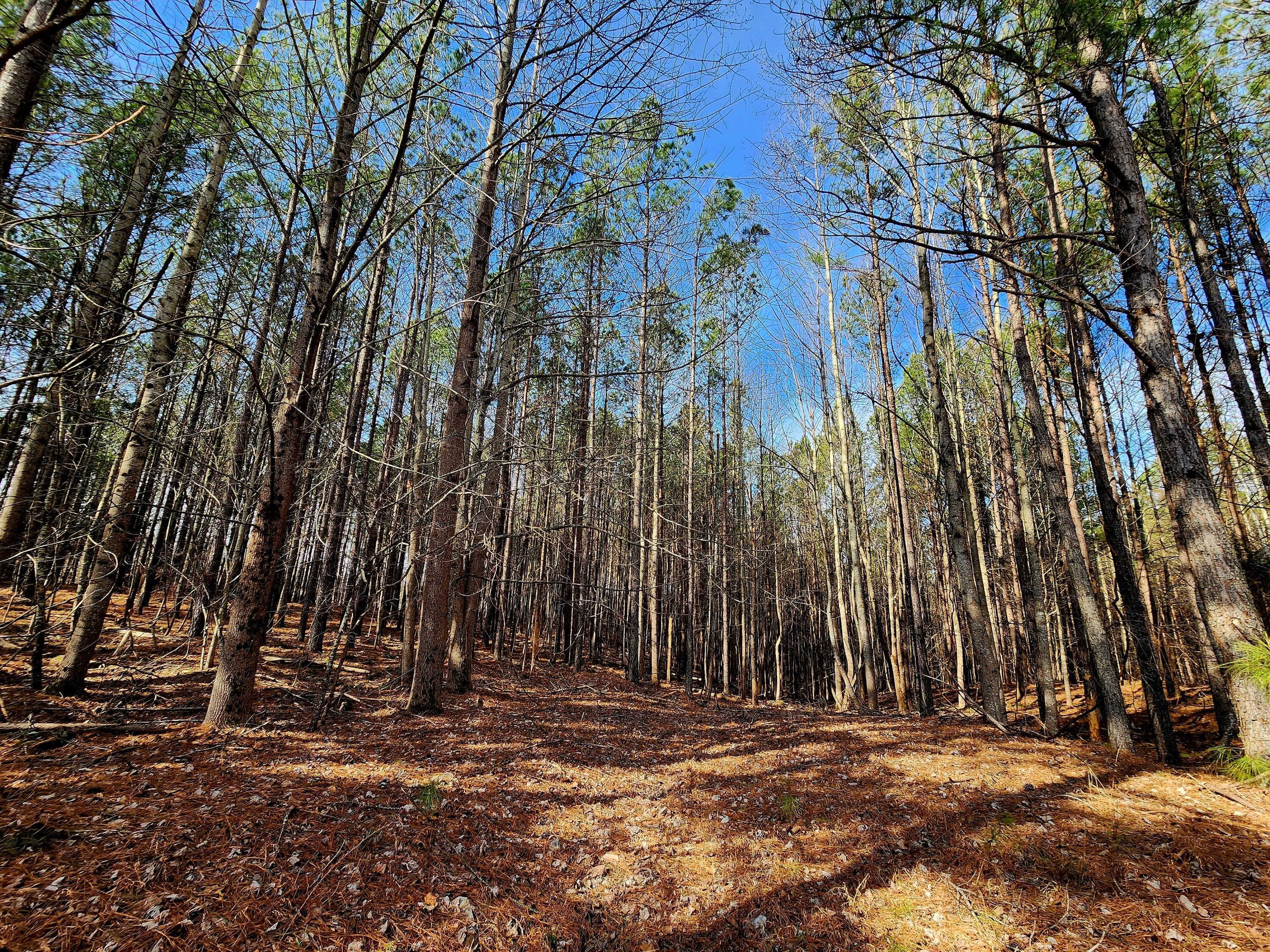 1560 Thunder Ridge Drive, 48