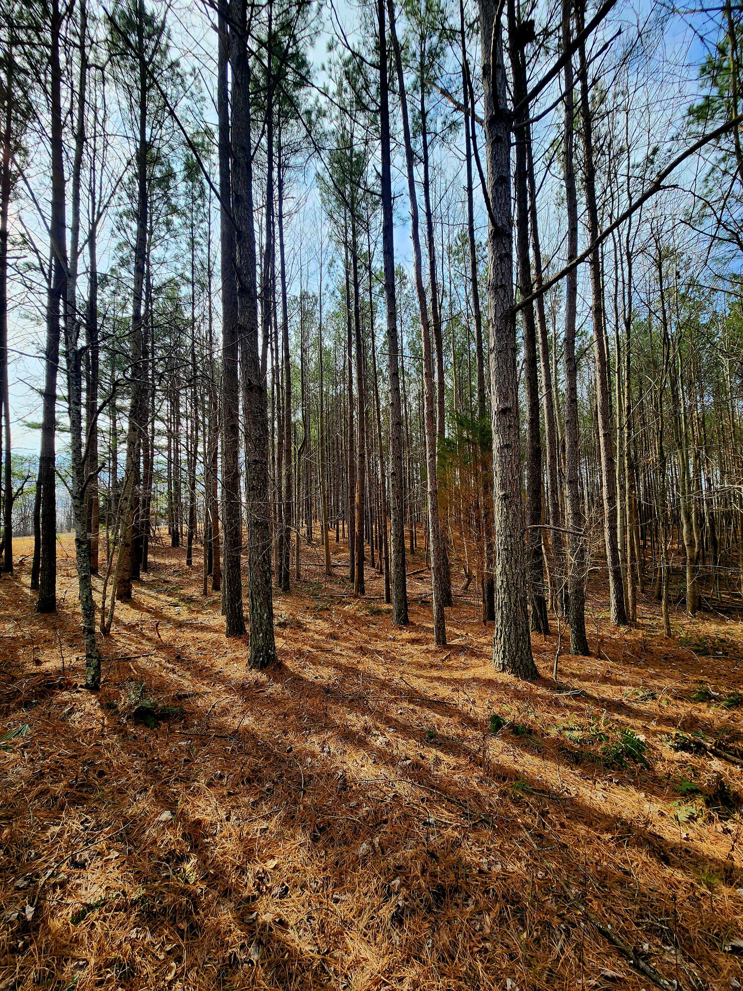 1560 Thunder Ridge Drive, 48