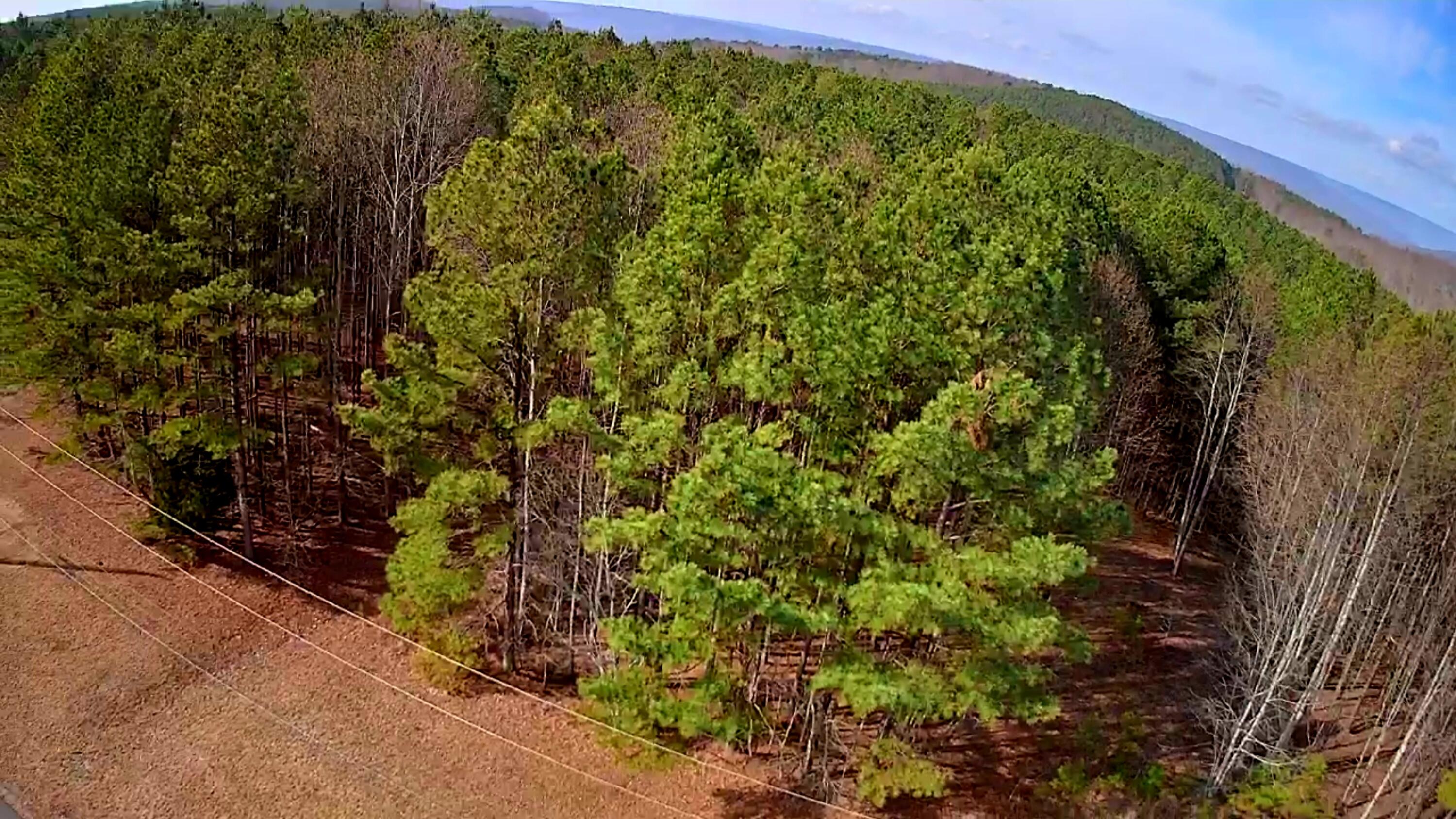 1560 Thunder Ridge Drive, 48