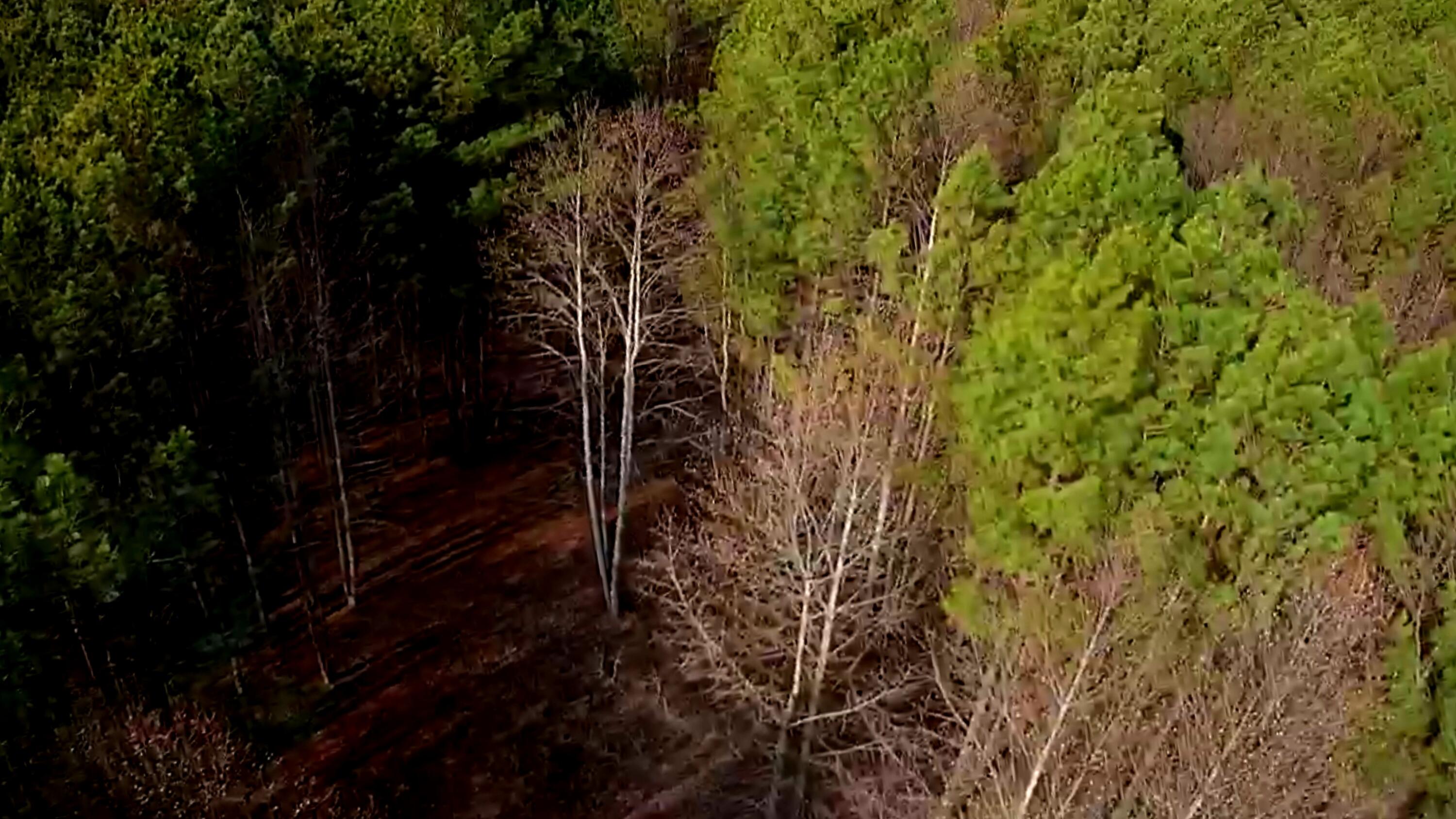 1560 Thunder Ridge Drive, 48