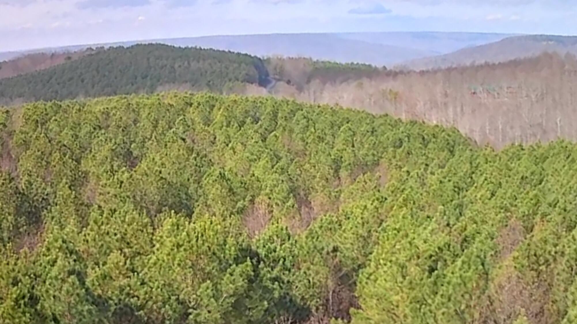 1560 Thunder Ridge Drive, 48