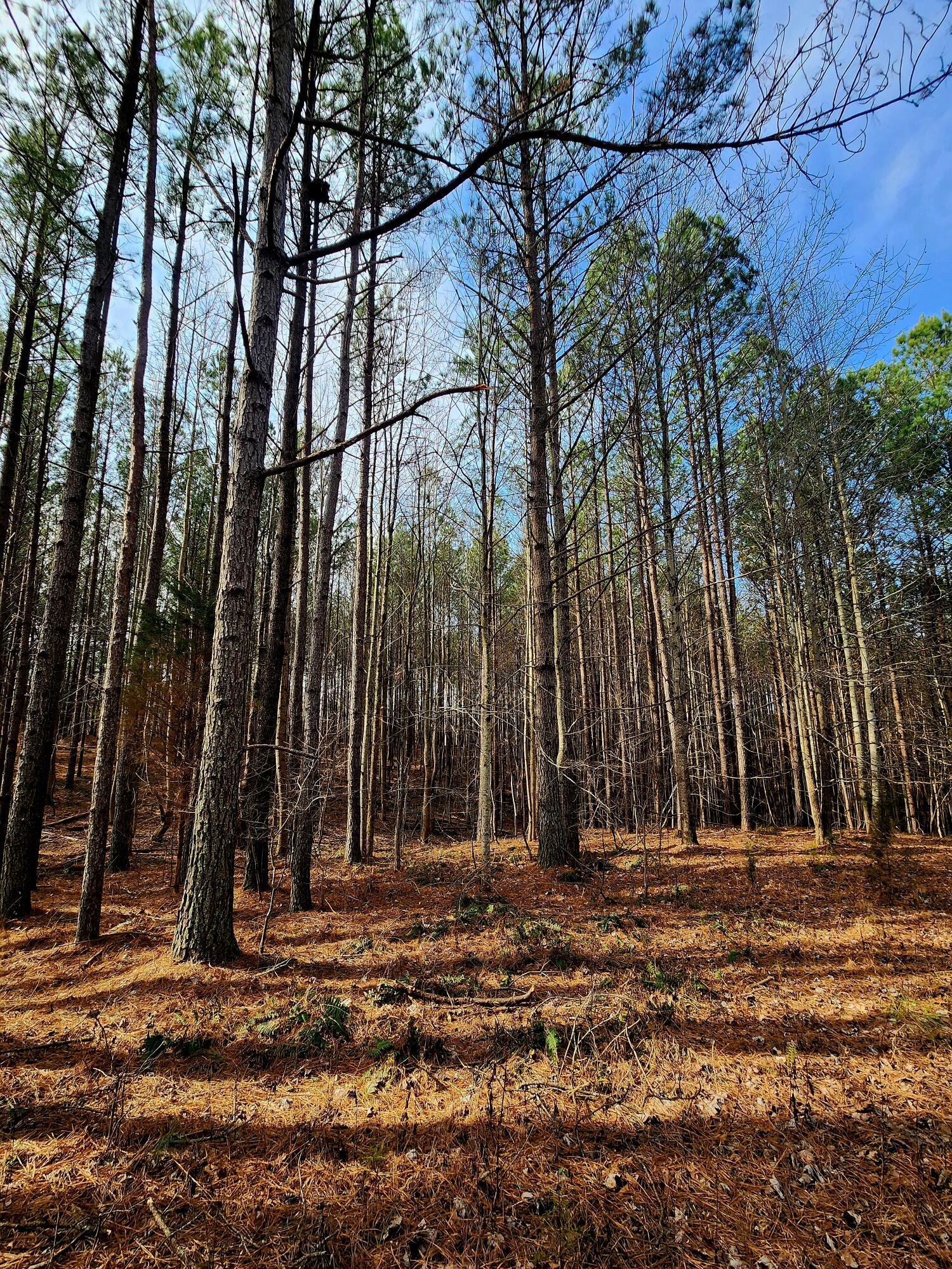 1560 Thunder Ridge Drive, 48