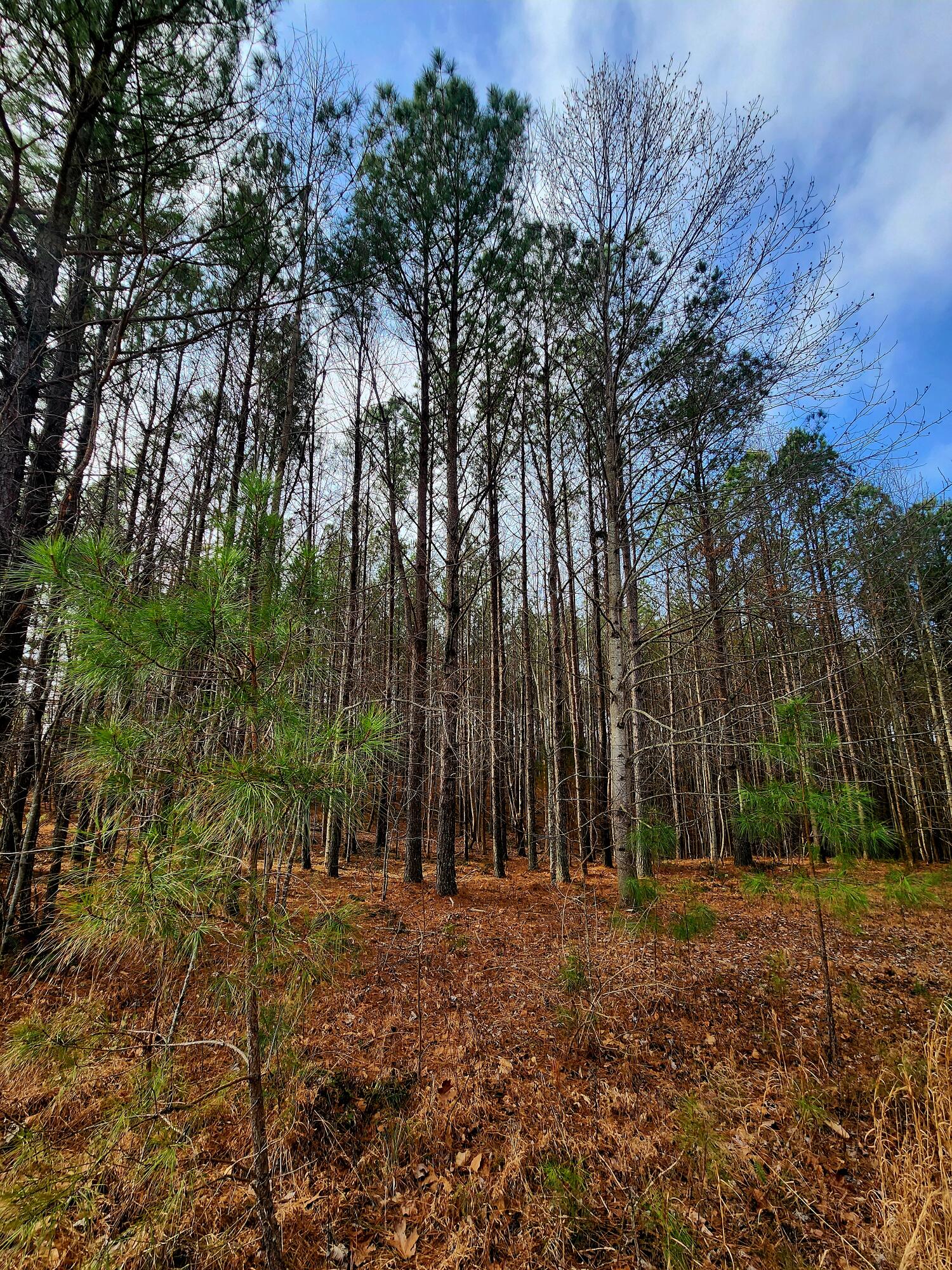 1560 Thunder Ridge Drive, 48