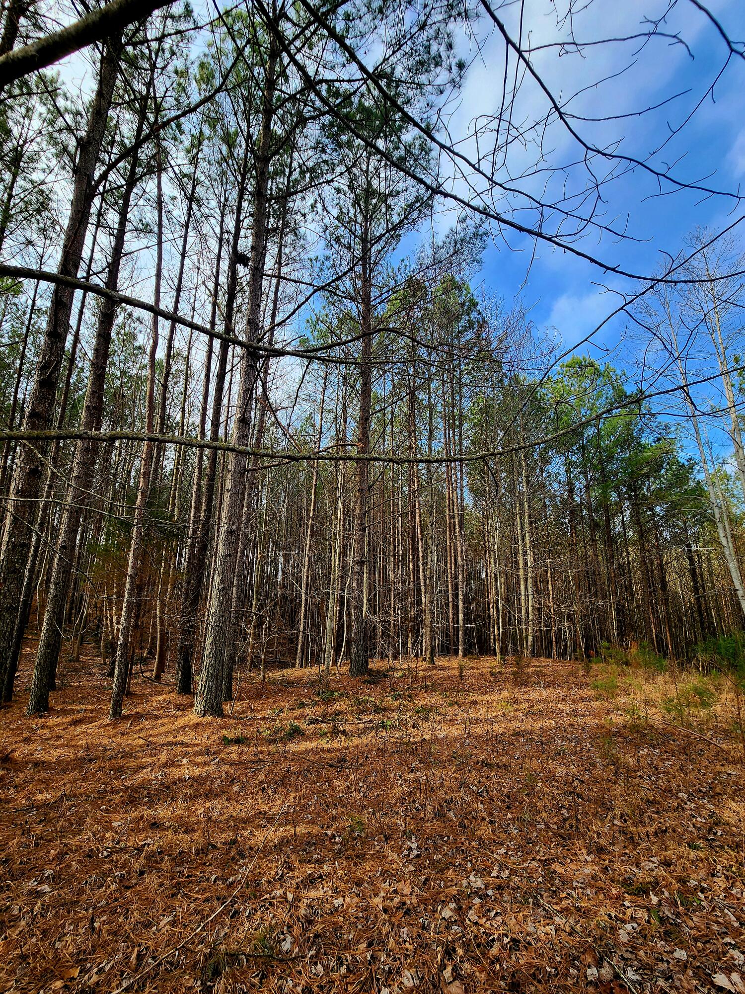 1560 Thunder Ridge Drive, 48