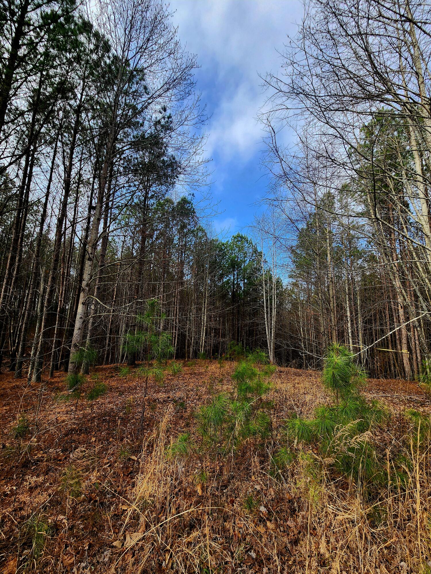 1560 Thunder Ridge Drive, 48