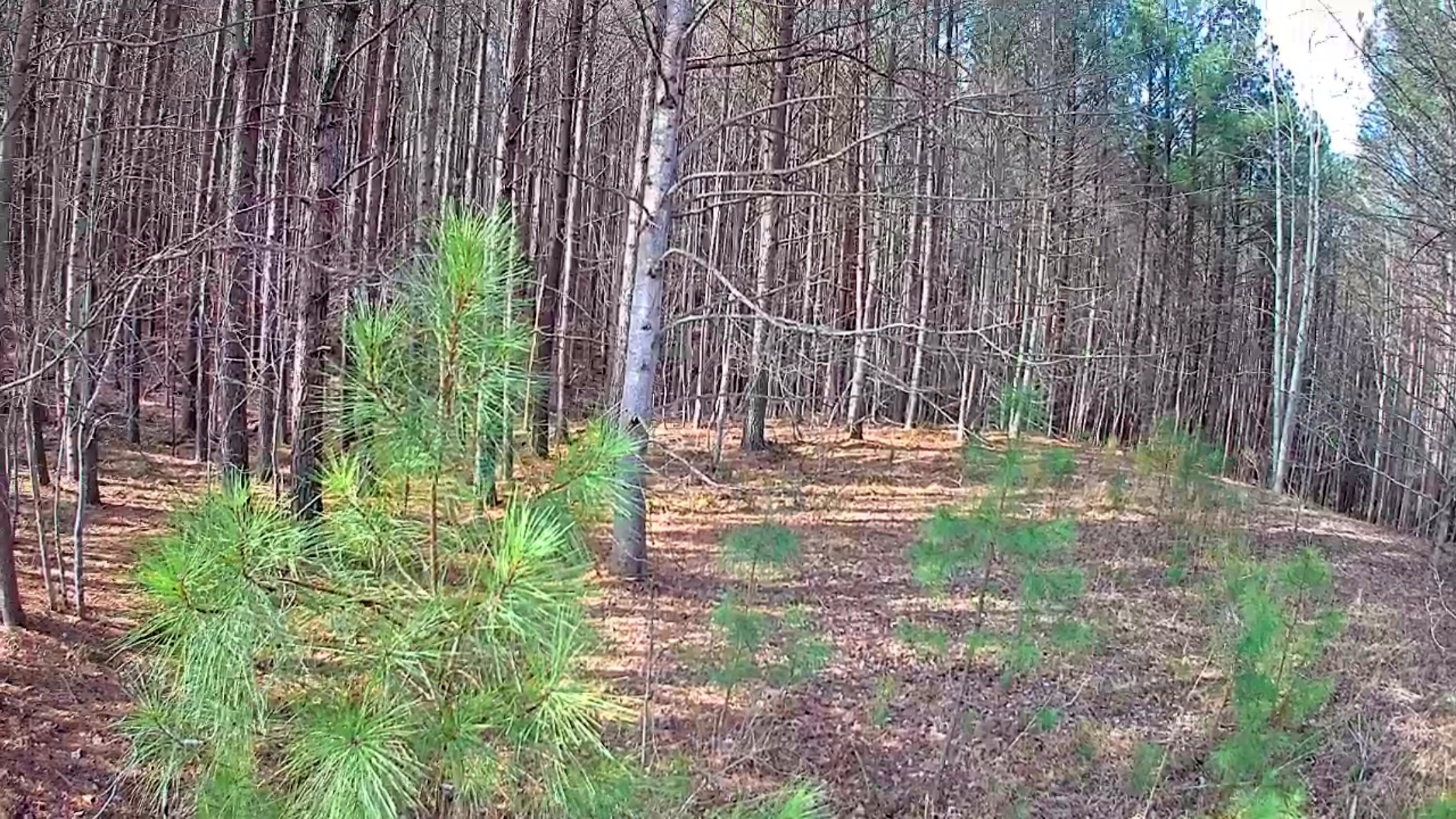 1560 Thunder Ridge Drive, 48