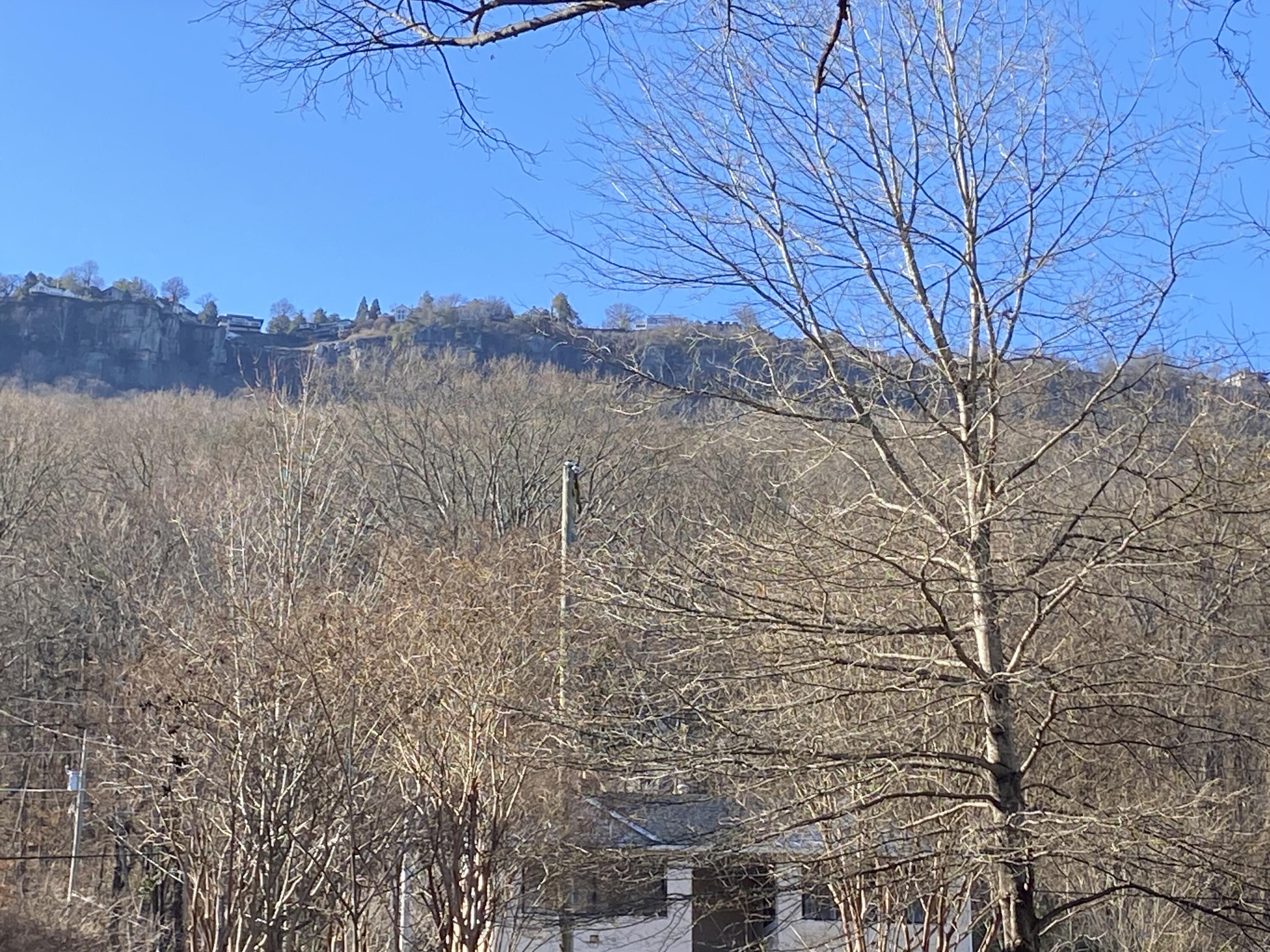 4313 Saint Elmo Avenue