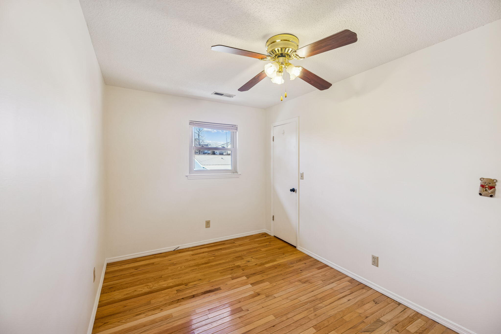 311 Branch Drive