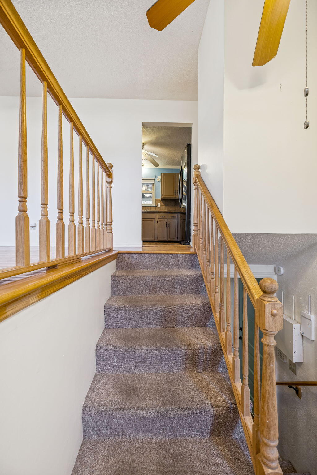 311 Branch Drive