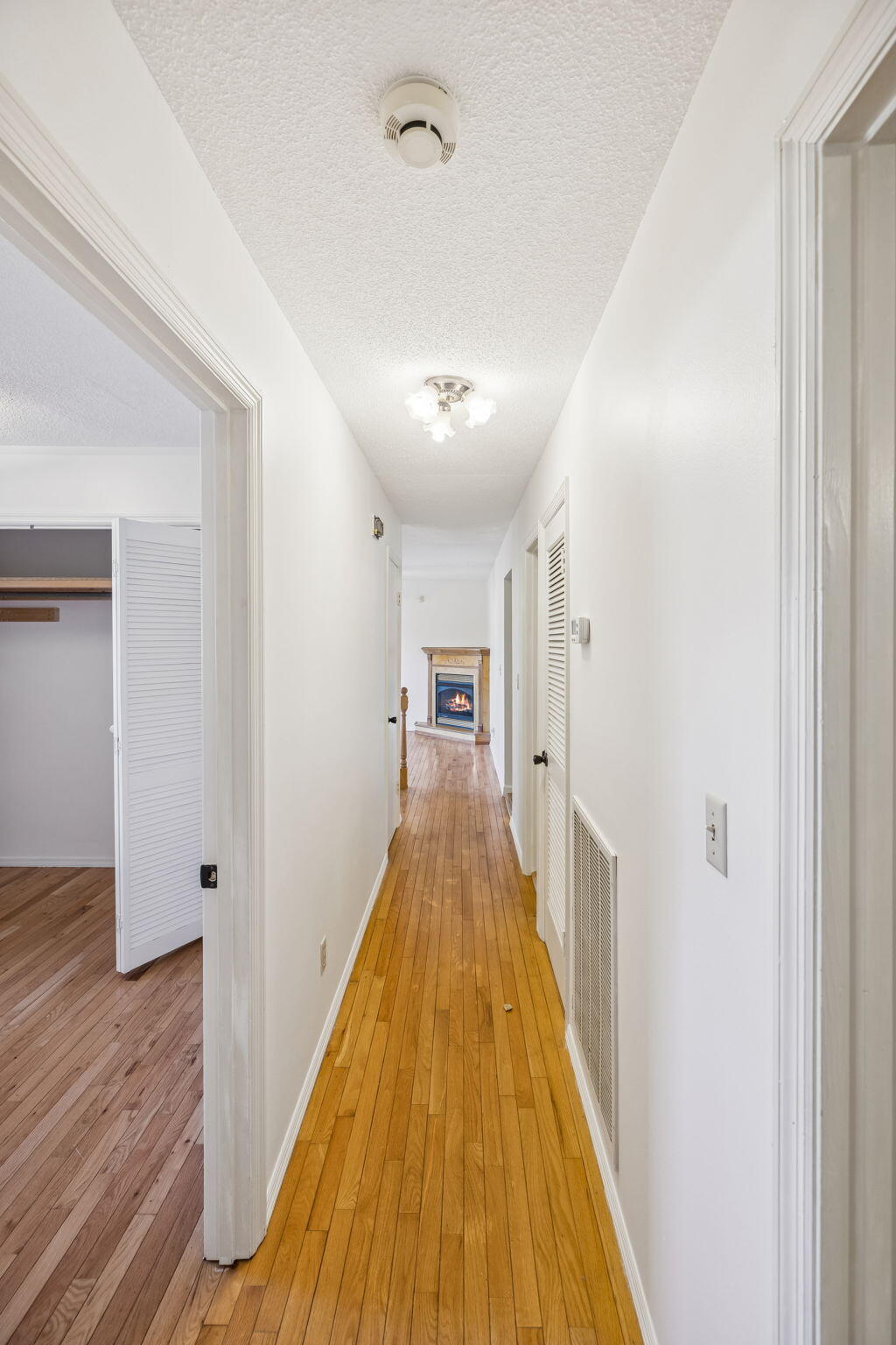 311 Branch Drive