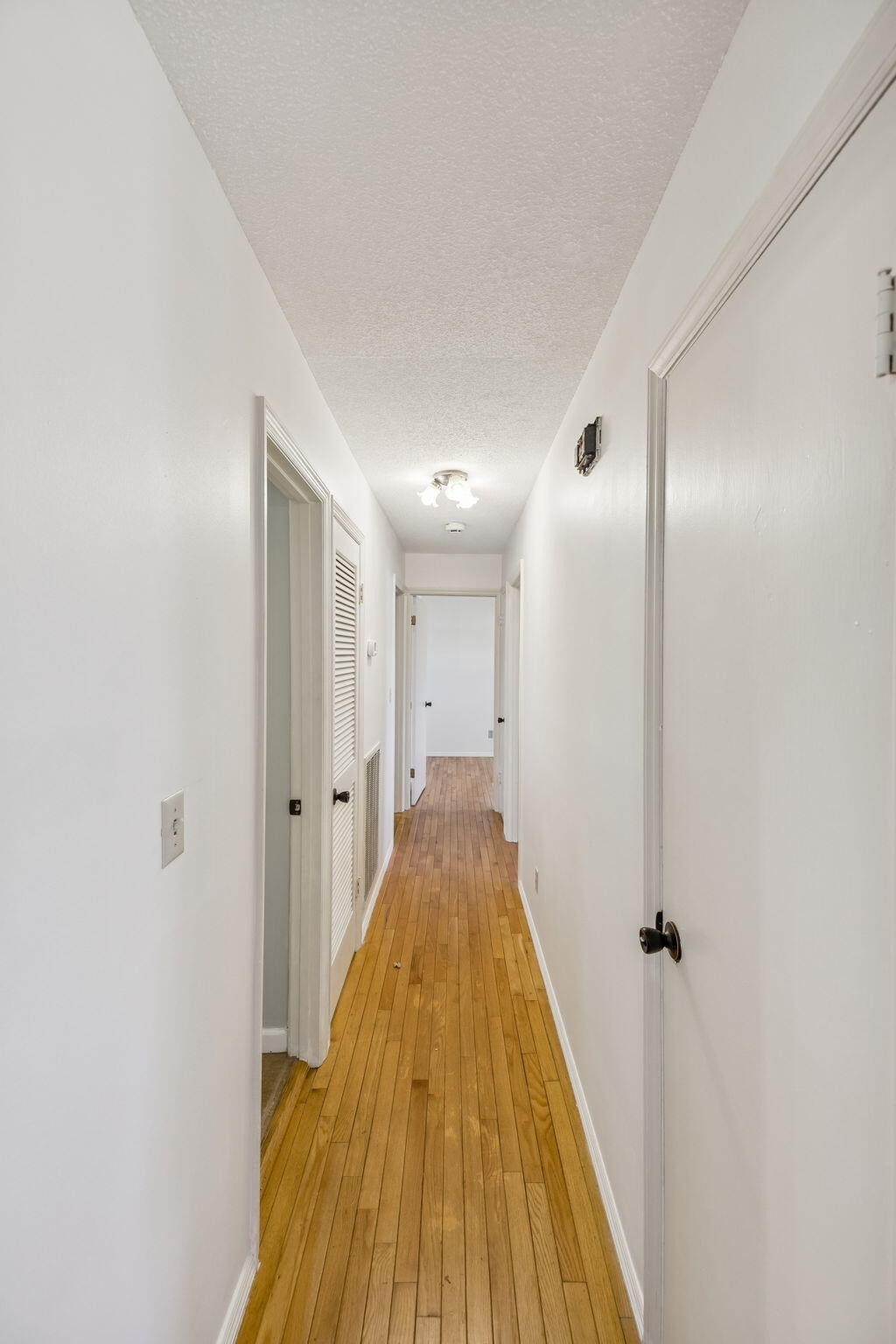311 Branch Drive