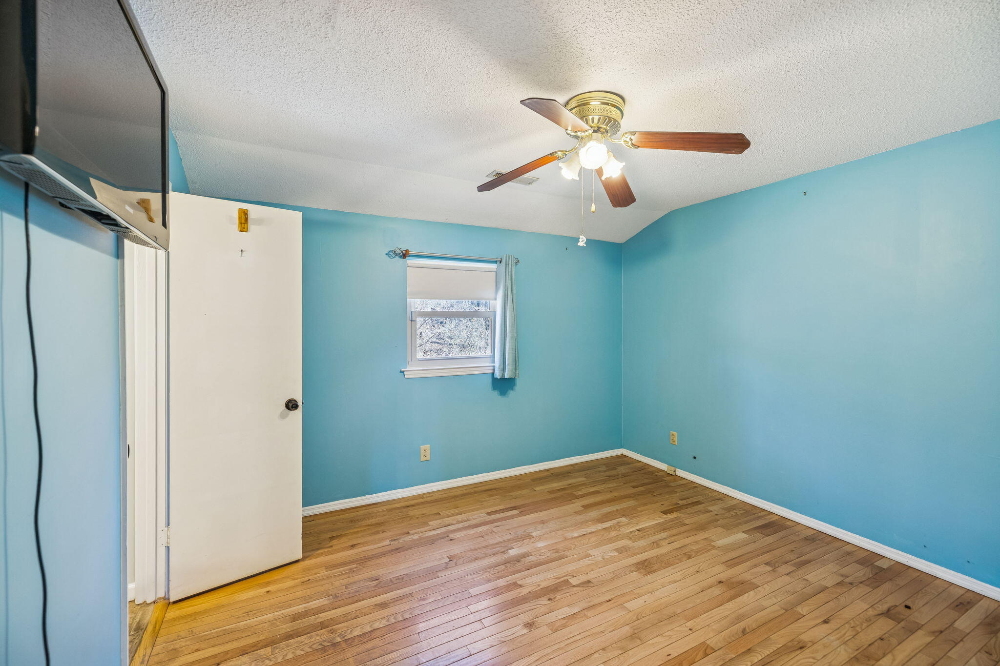 311 Branch Drive