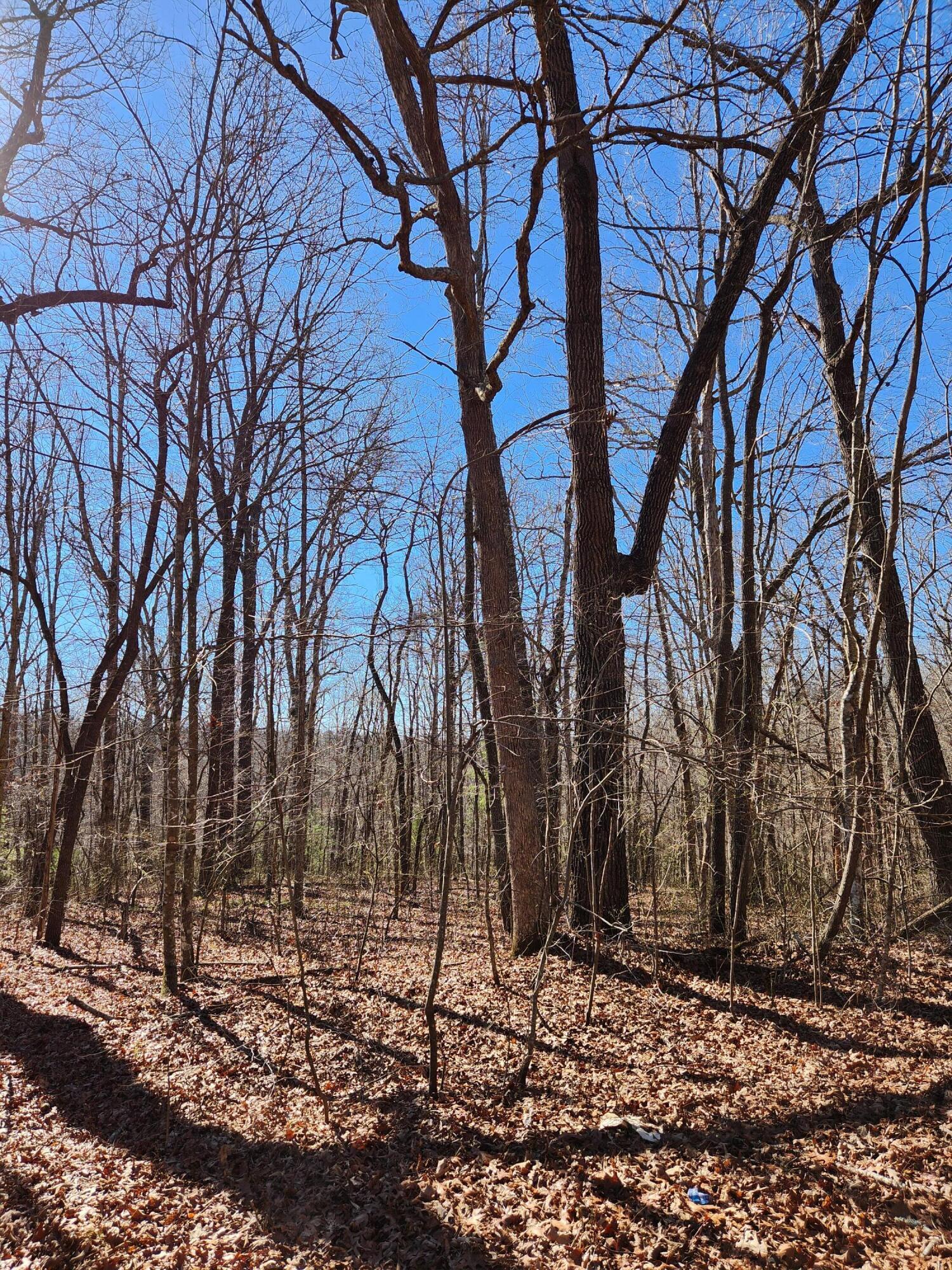 22 Devon Loop, 22